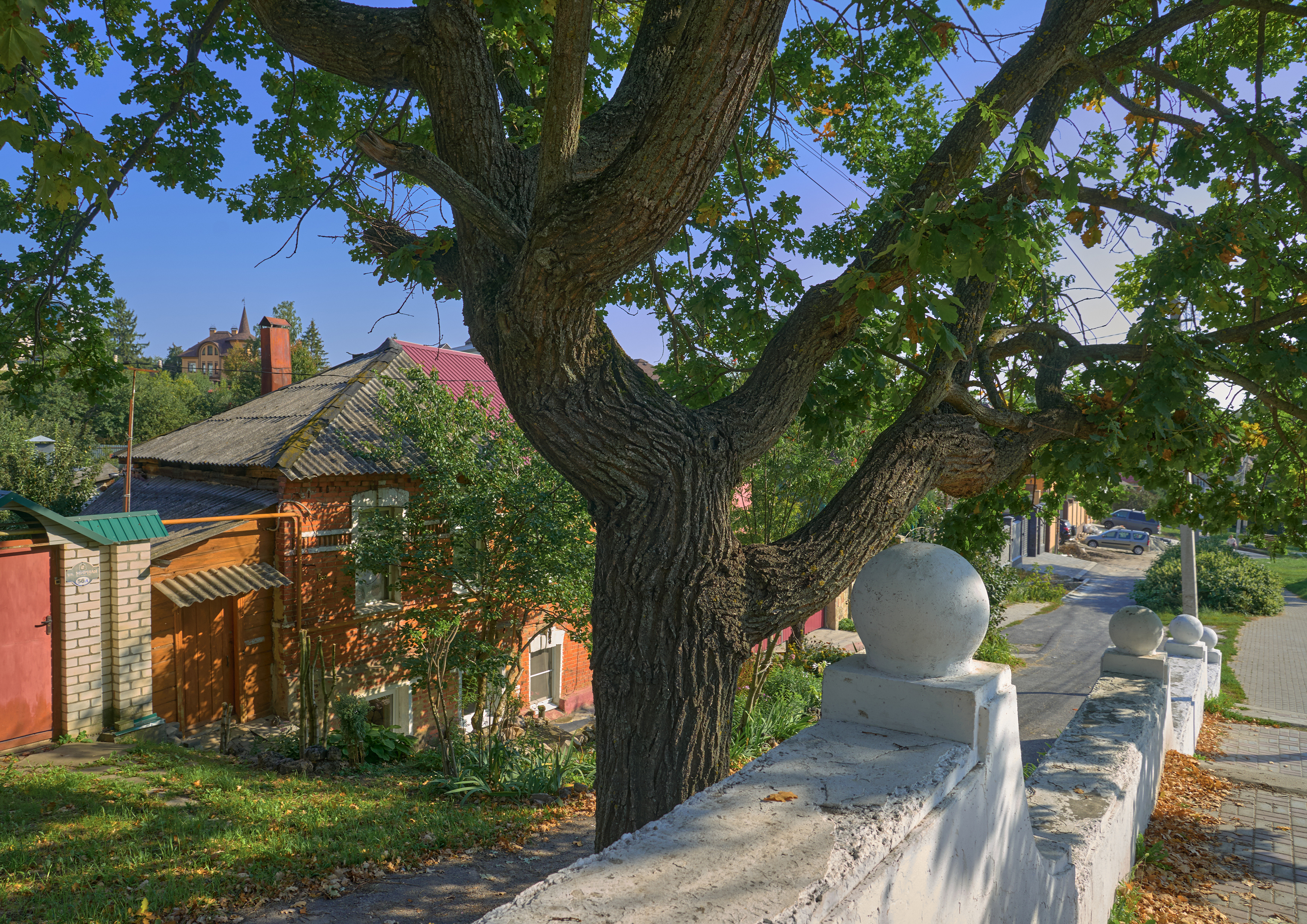 , Каменев Виталий