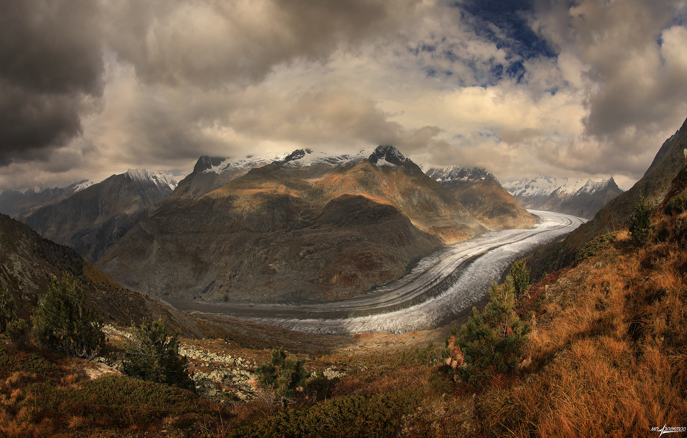 swiss, Матвеев Николай