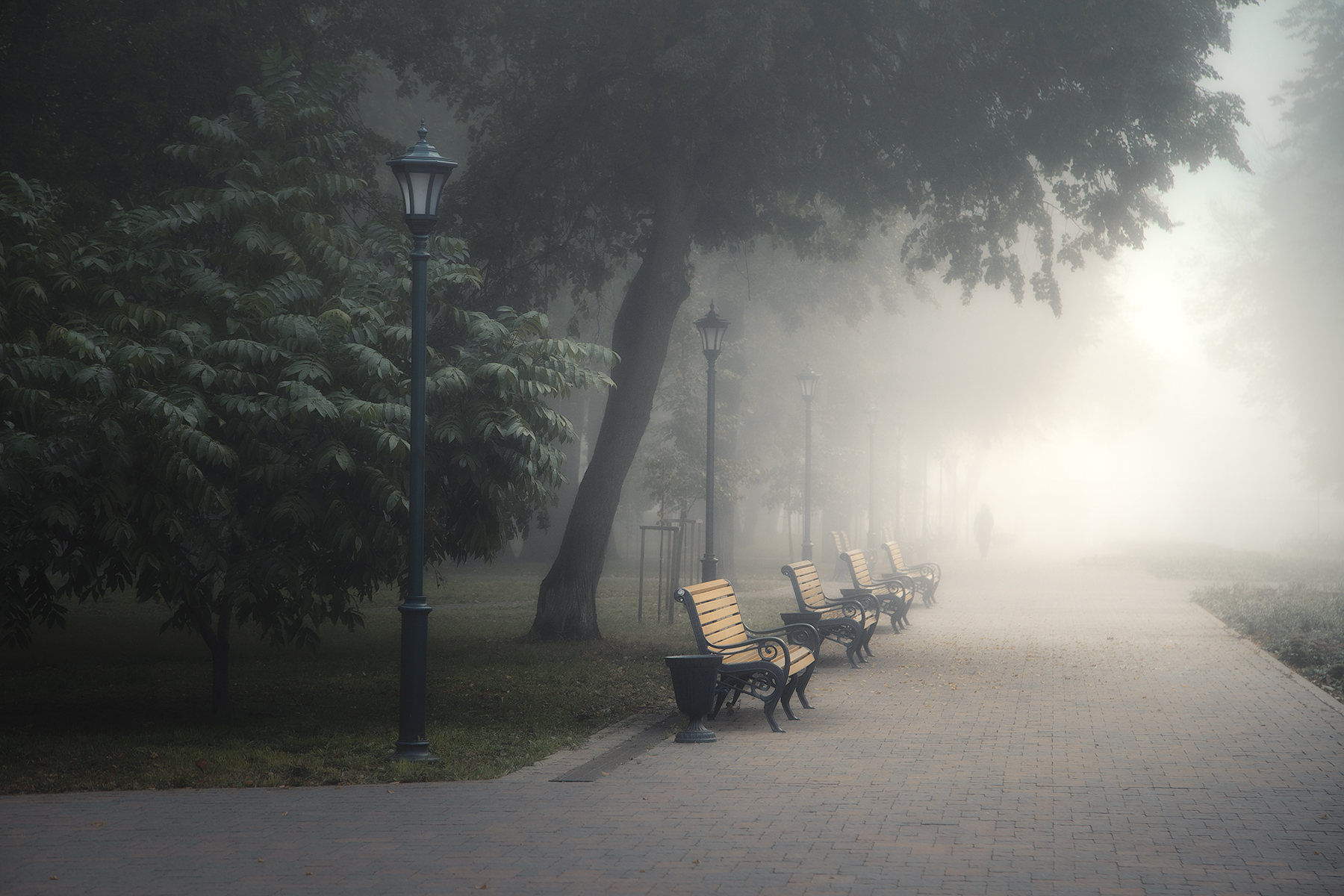 туман, парк, аллея, фонари, осень, Макаров Роман