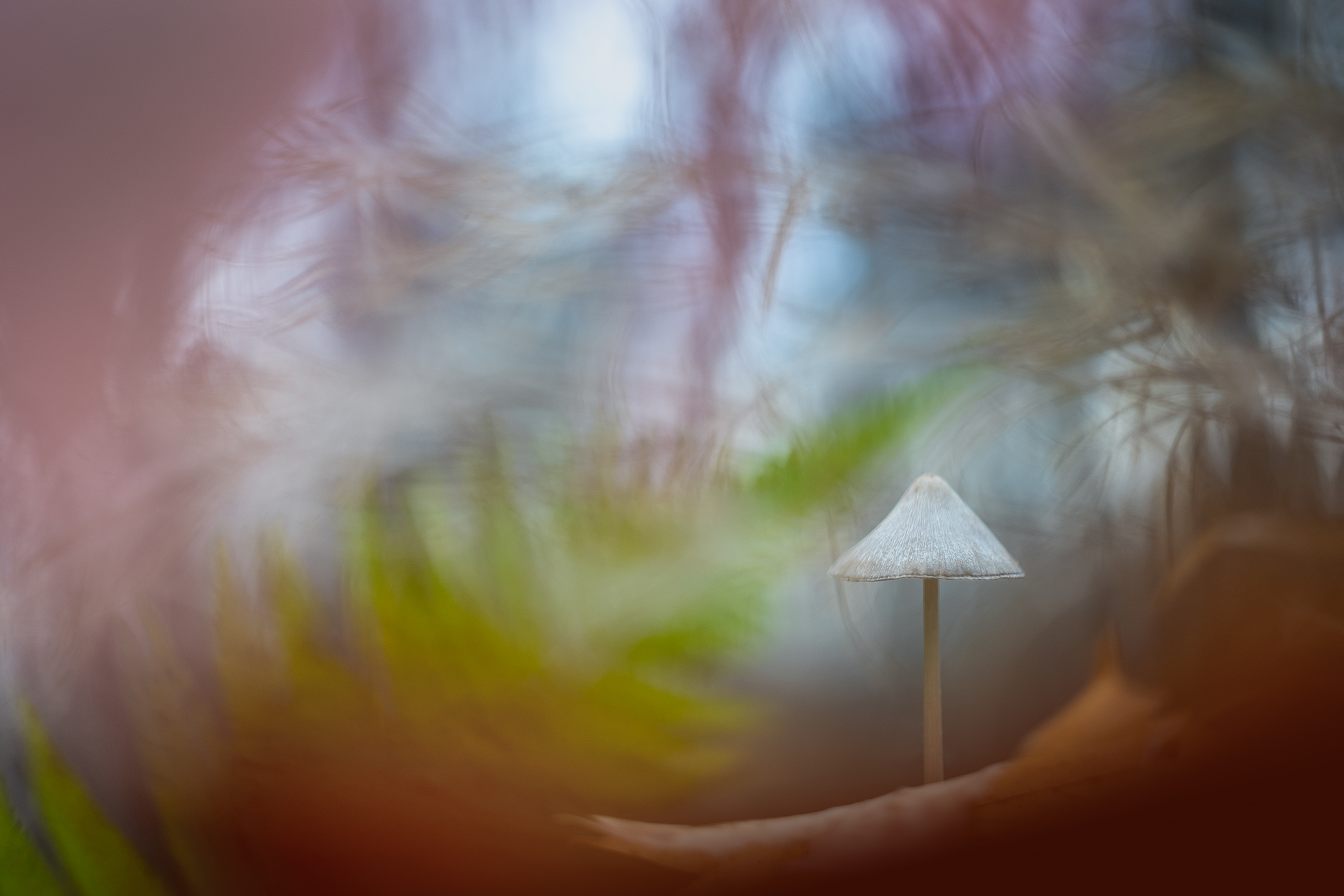 , Кузнецов Дмитрий