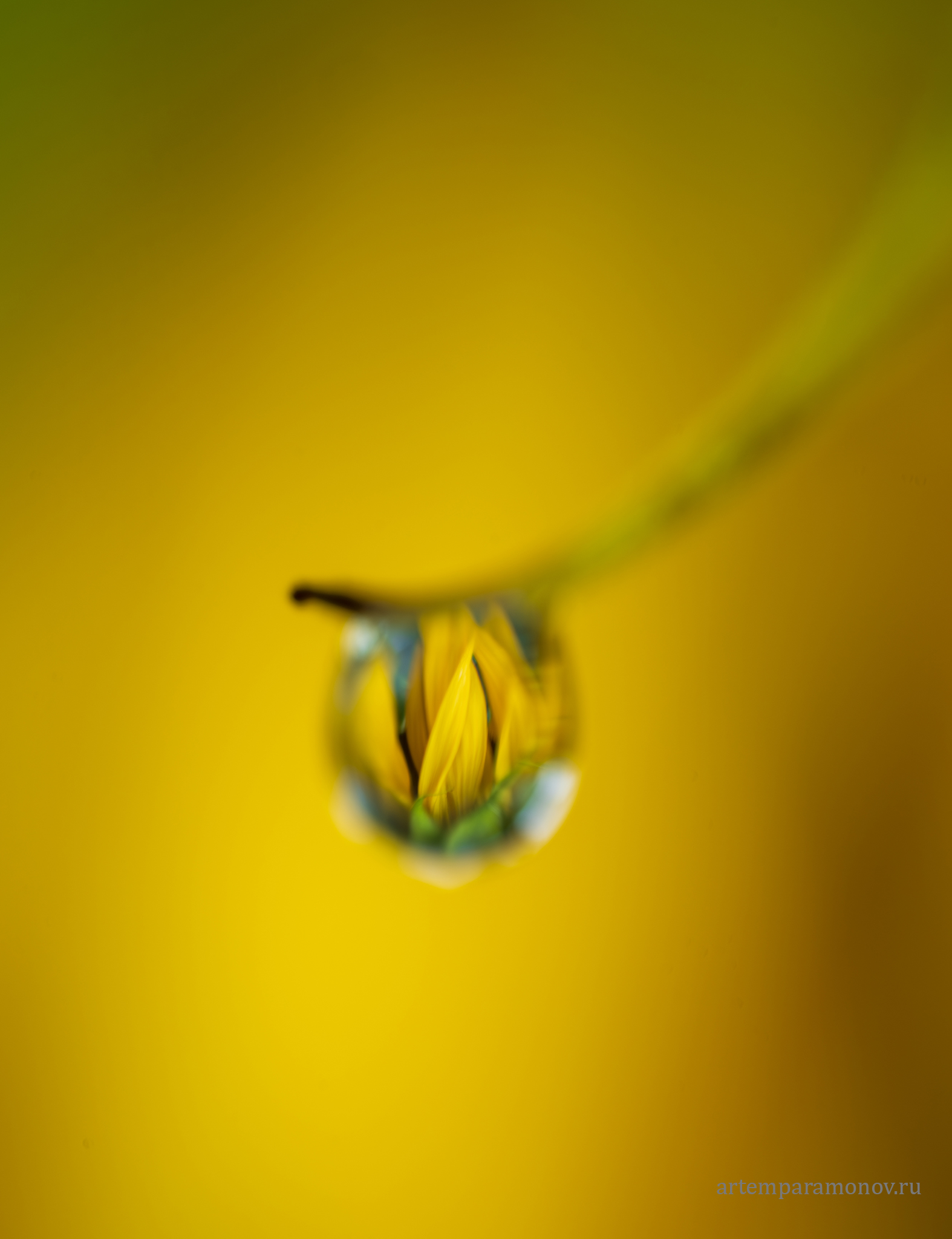 , Артём Парамонов