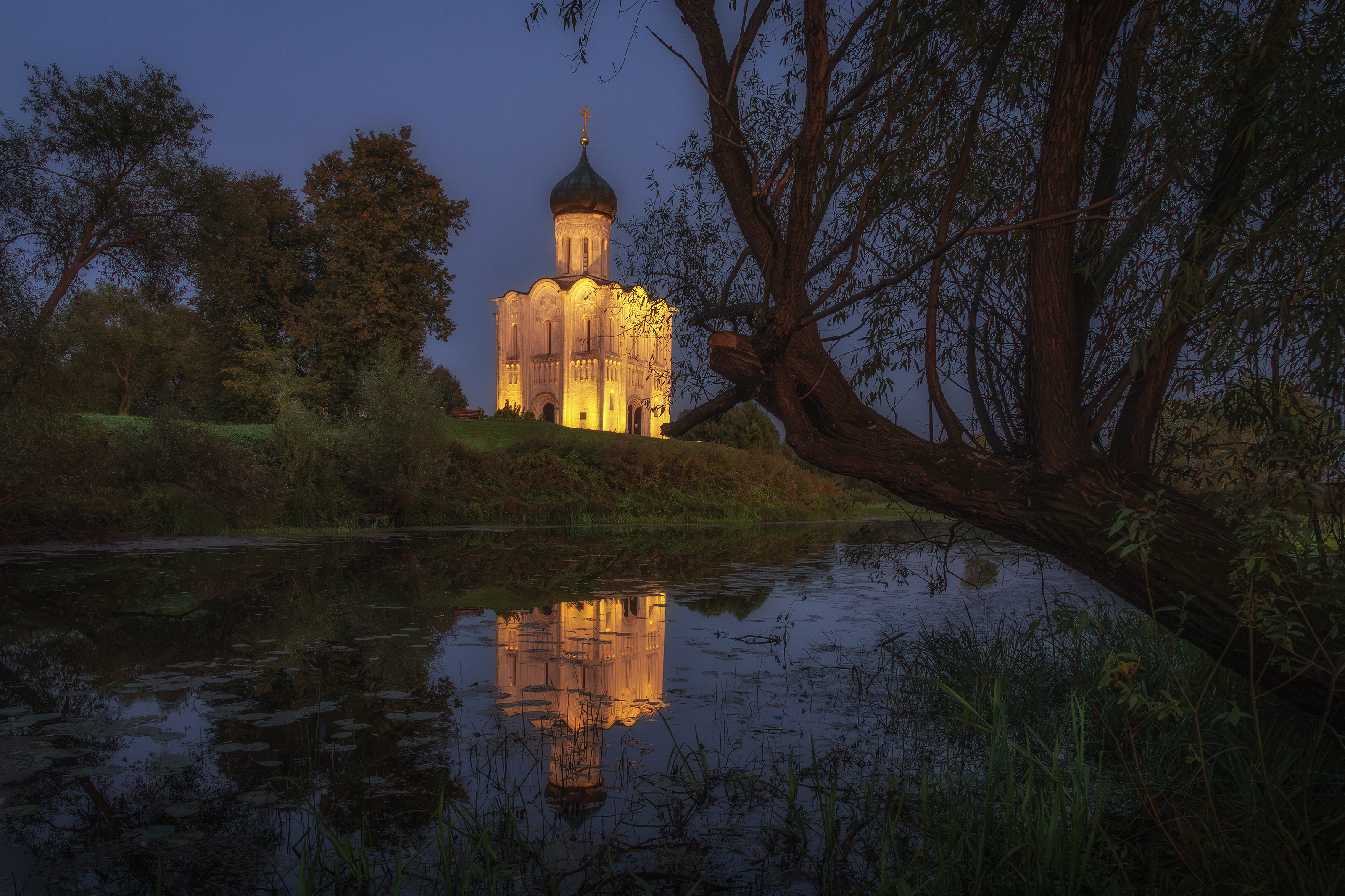 Владимирская область, Гусева Елена