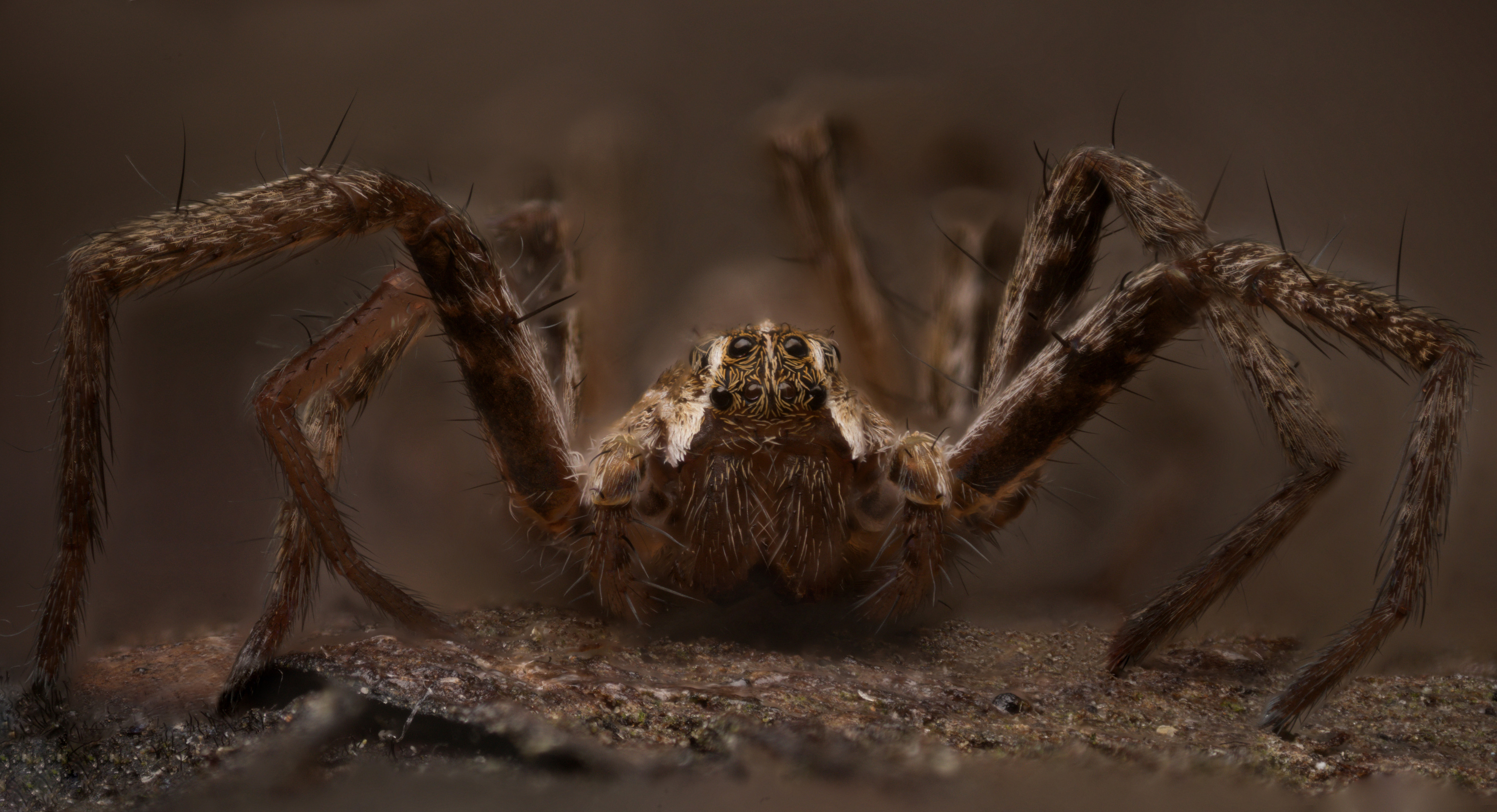 , Иван Золин