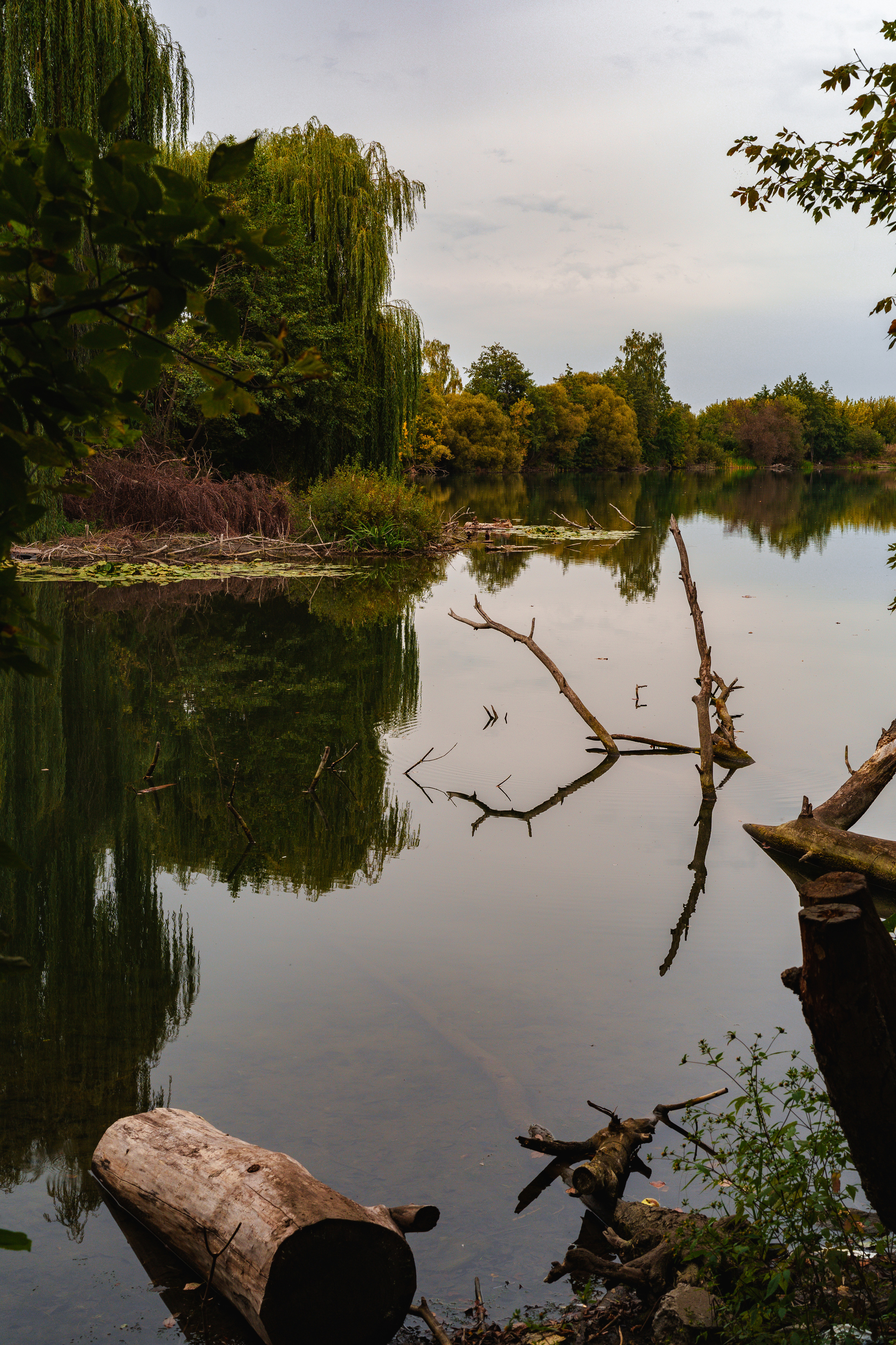 , Вертиков Юрий