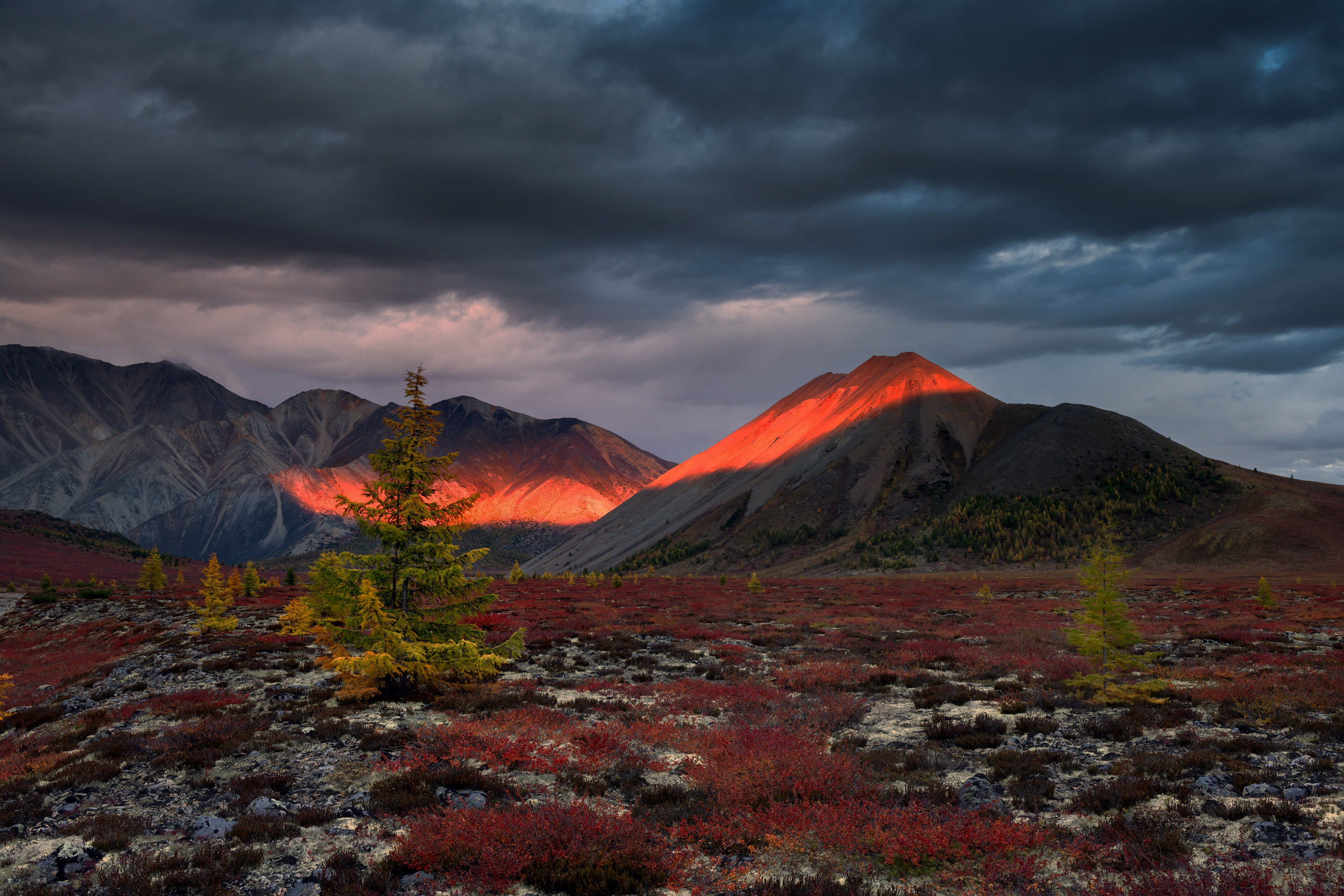 , Евдокимов Максим