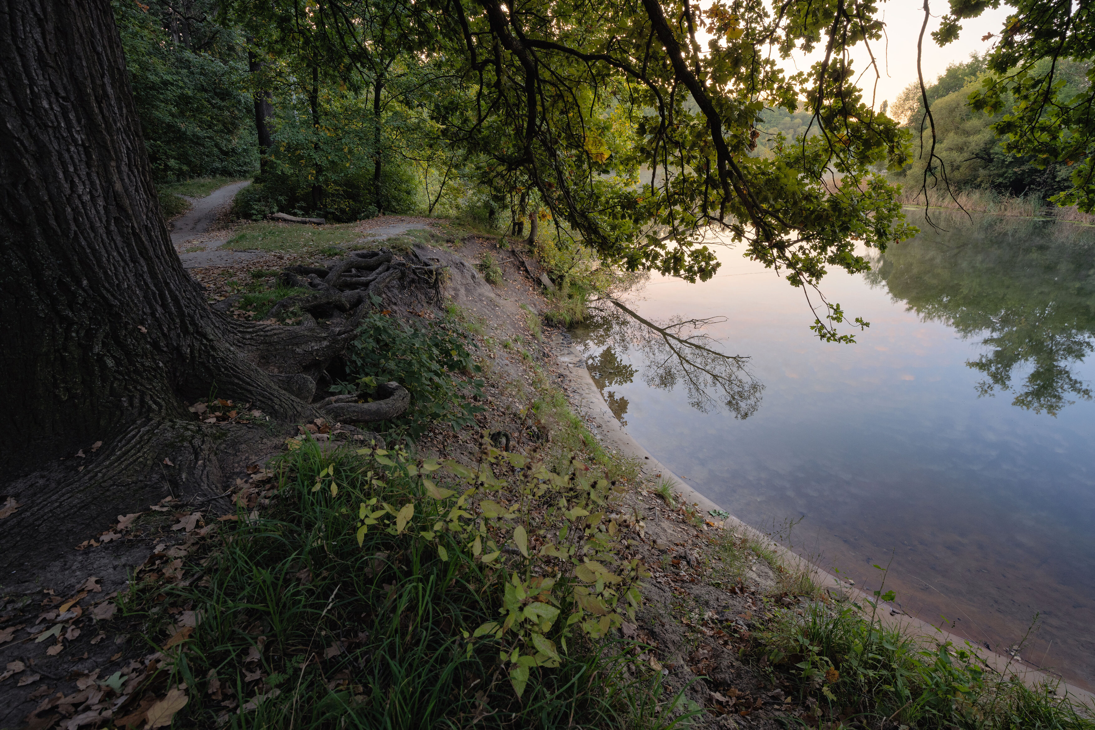 , Александр Бредихин