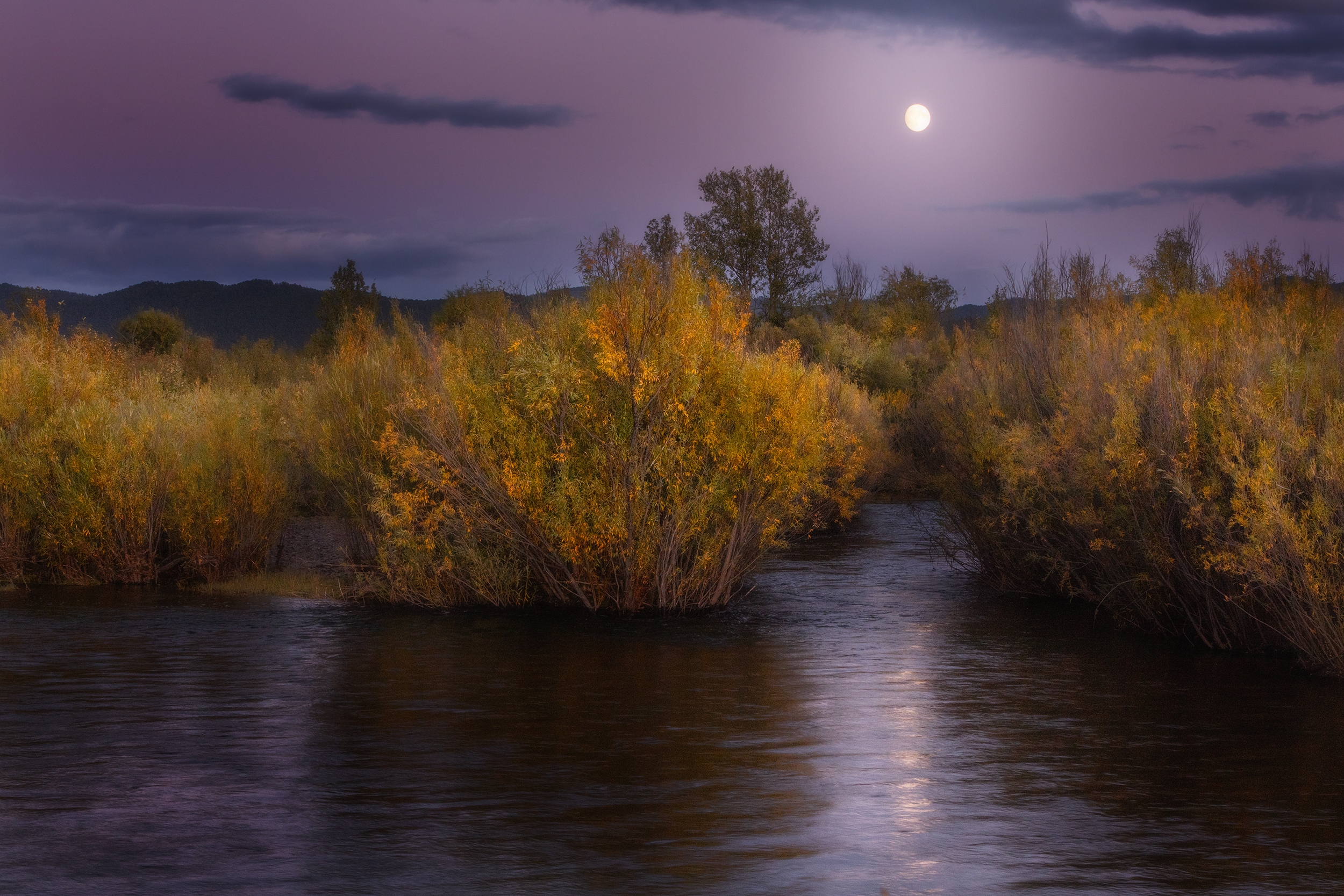 , Владимир Климов