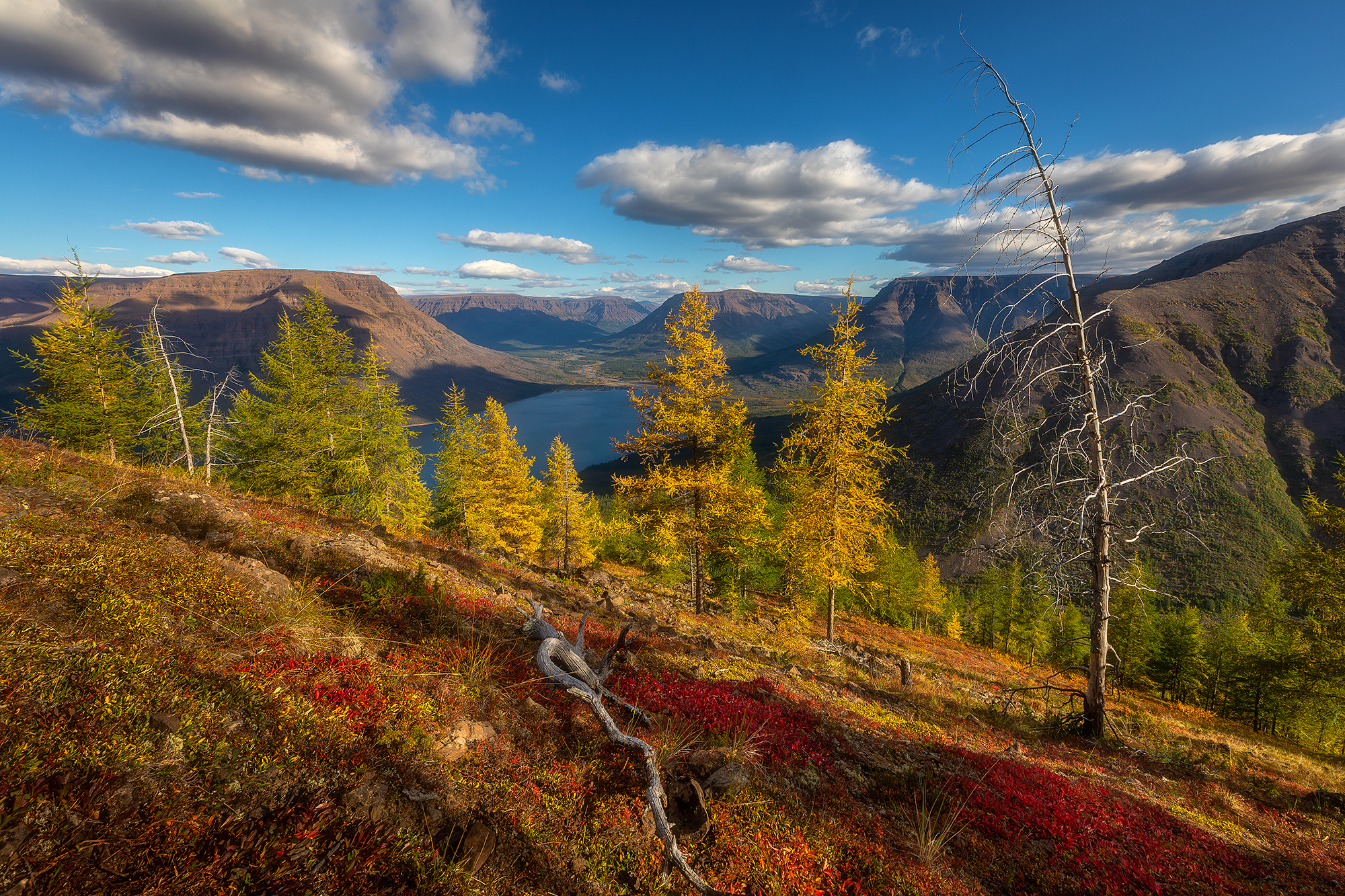 плато путорана, озеро лама, природа, туризм, норильск, красноярский край, осень, пейзаж,, Alexander Pashenichev