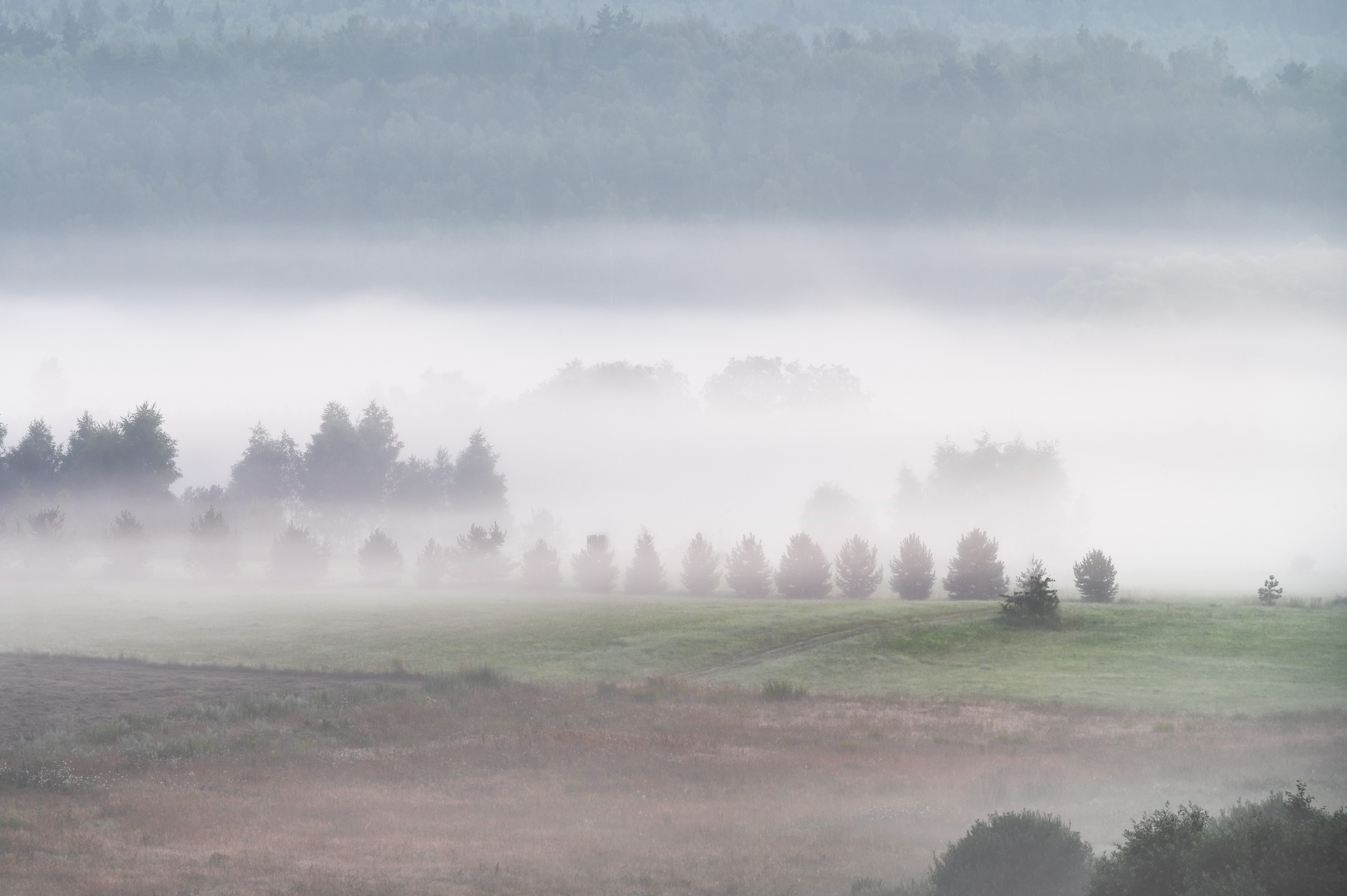 , Алексей Турчин