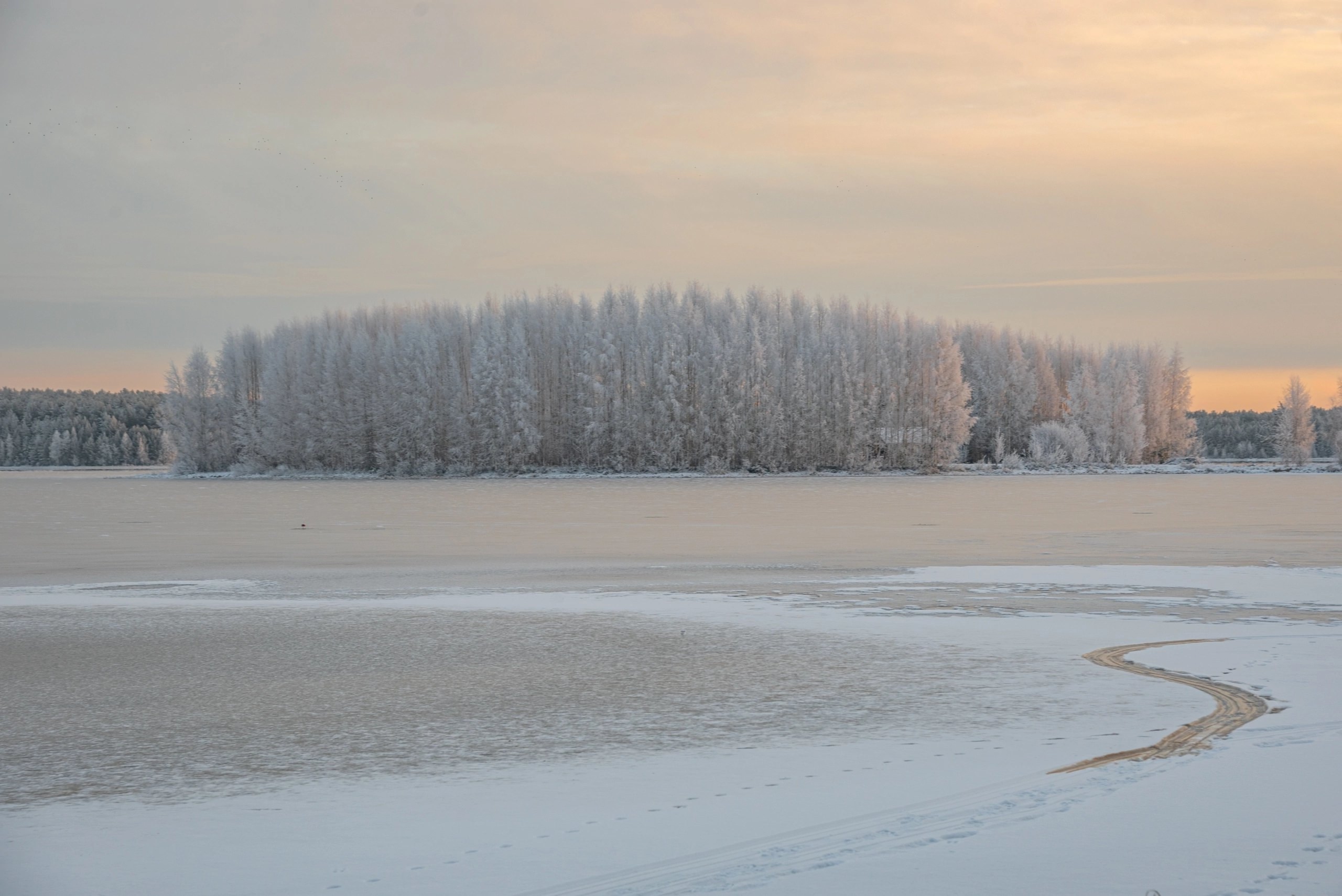 , Андрей Малыгин