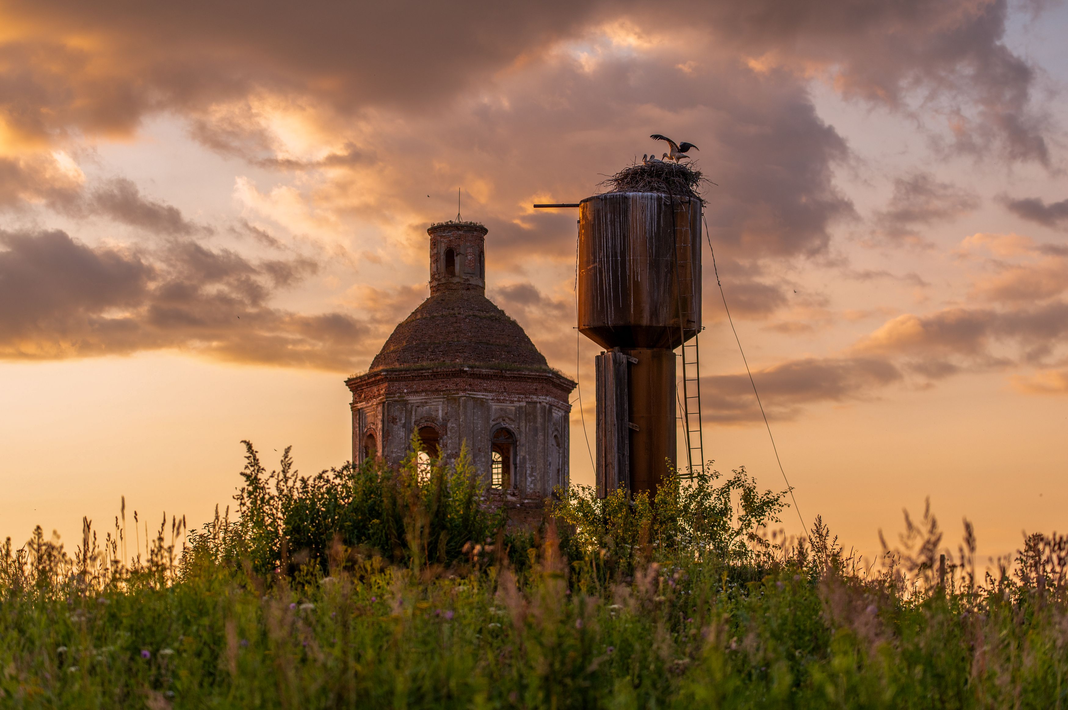 , Елена Ефимова