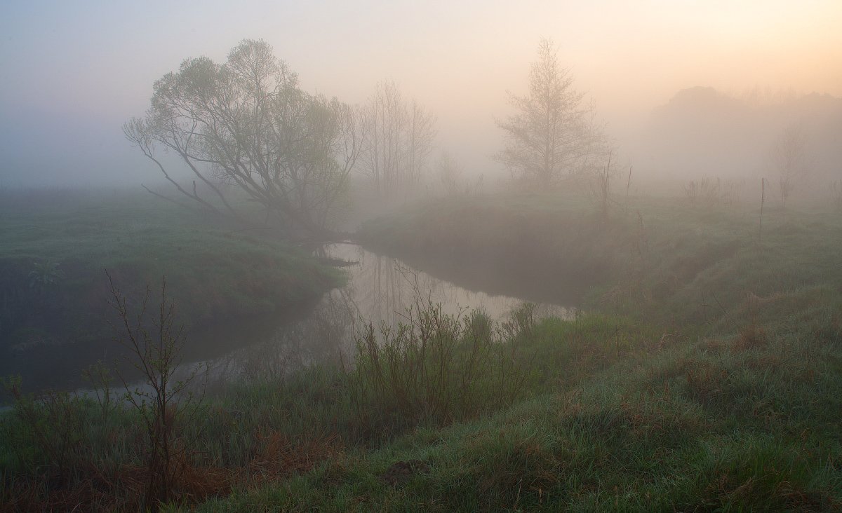 апрель, берега, дерево, рассвет, река, туман, утро, Сергей Добровольский