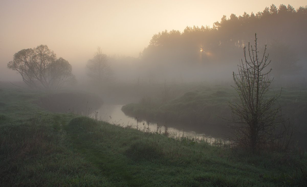 апрель, берег, деревья, лес, река, ручей, туман, утро, Сергей Добровольский