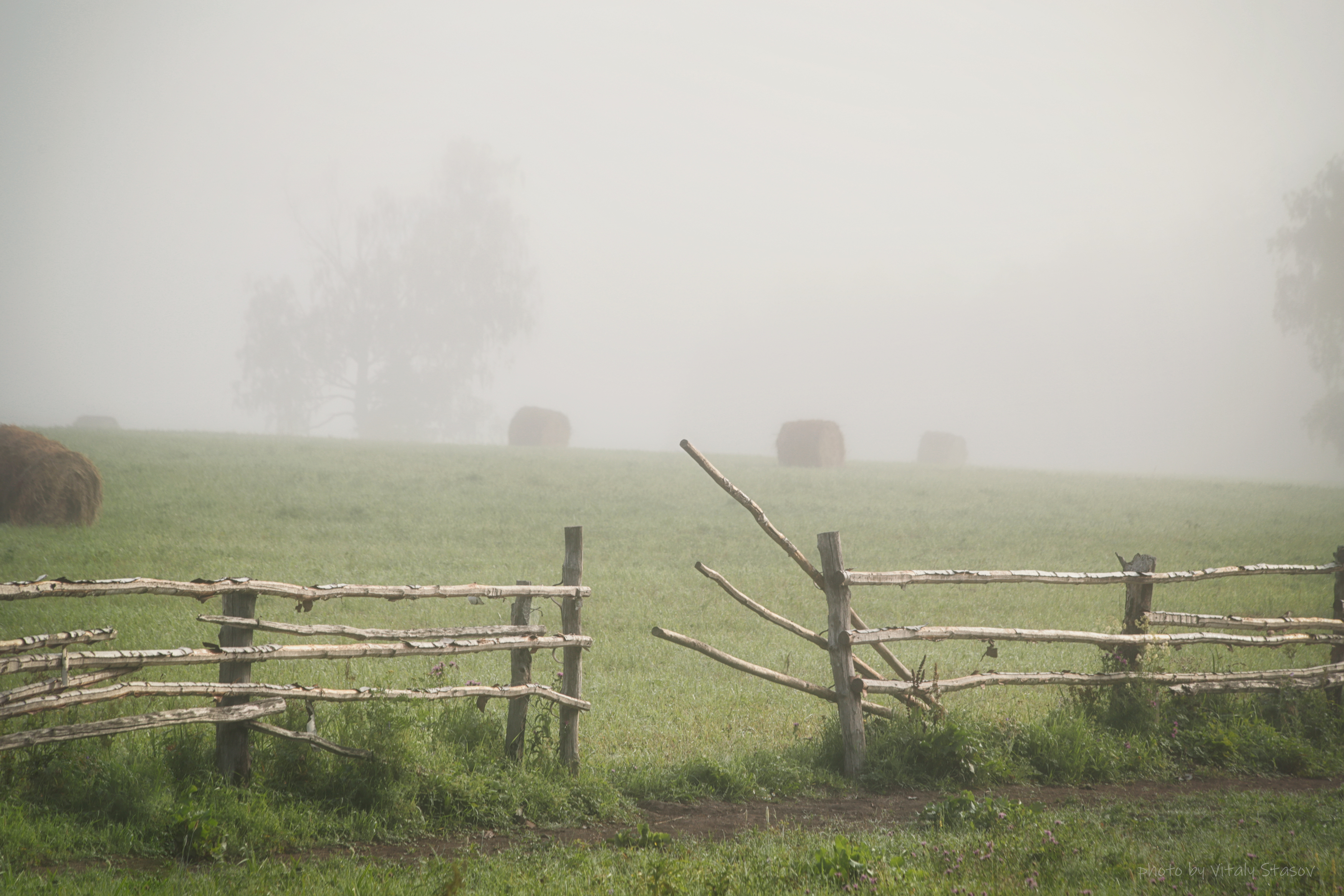 туман, пейзаж, погода, поле, деревья, тульская область, Стасов Виталий