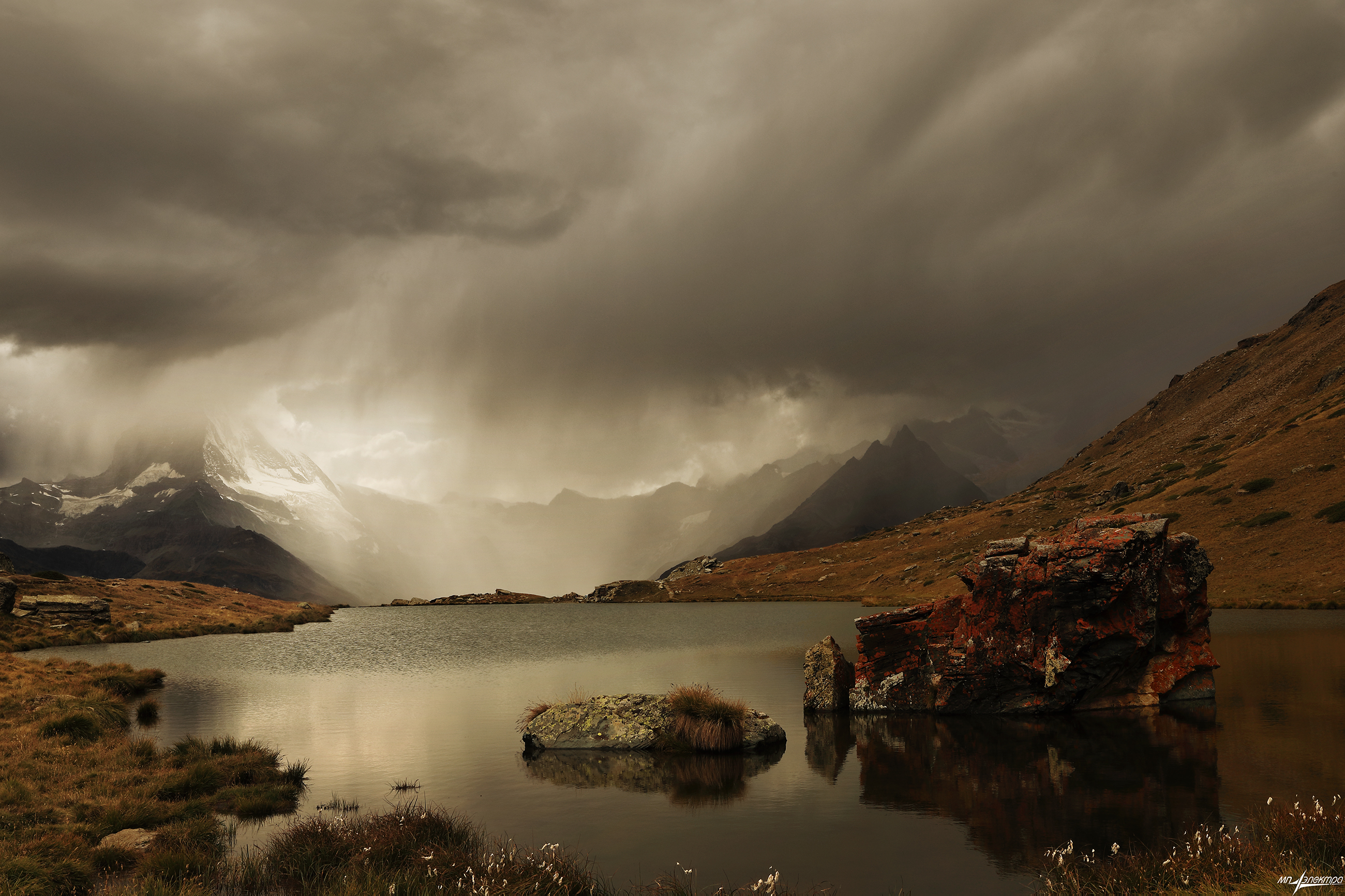 swiss, Матвеев Николай