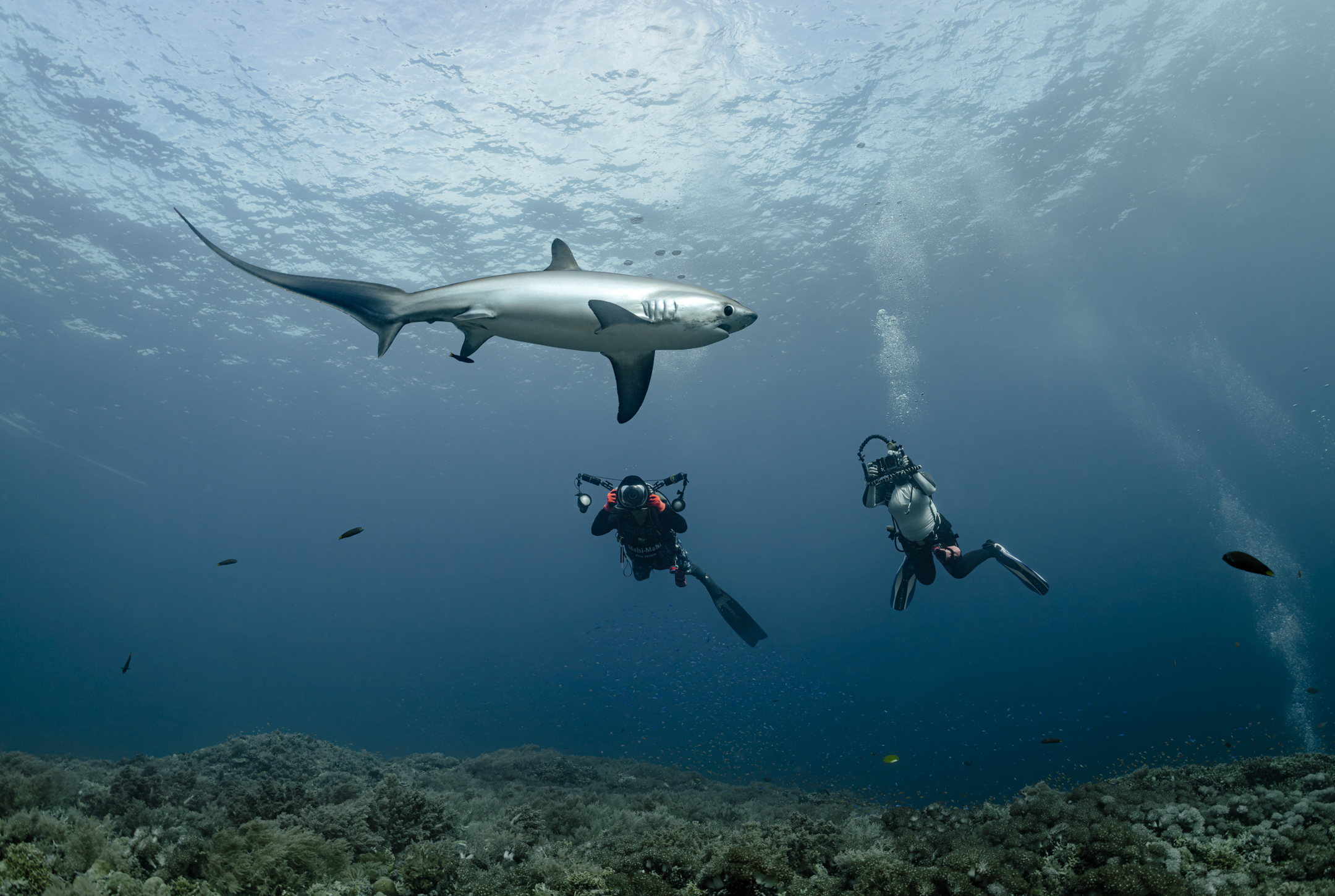 , Савин Андрей