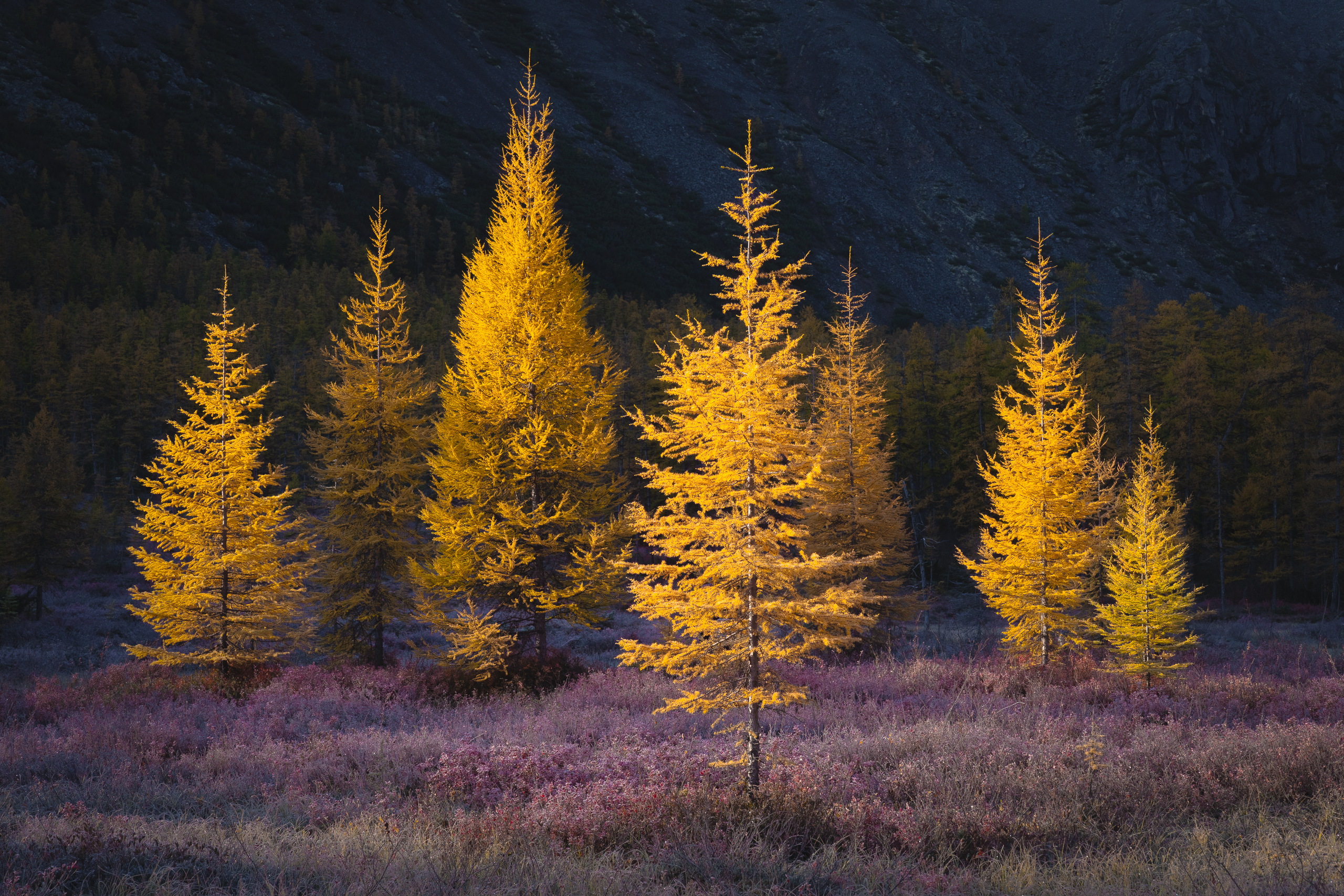 озеро джека лондона, озеро невидимка, рассвет, пейзаж, Mikhail Ioannisian