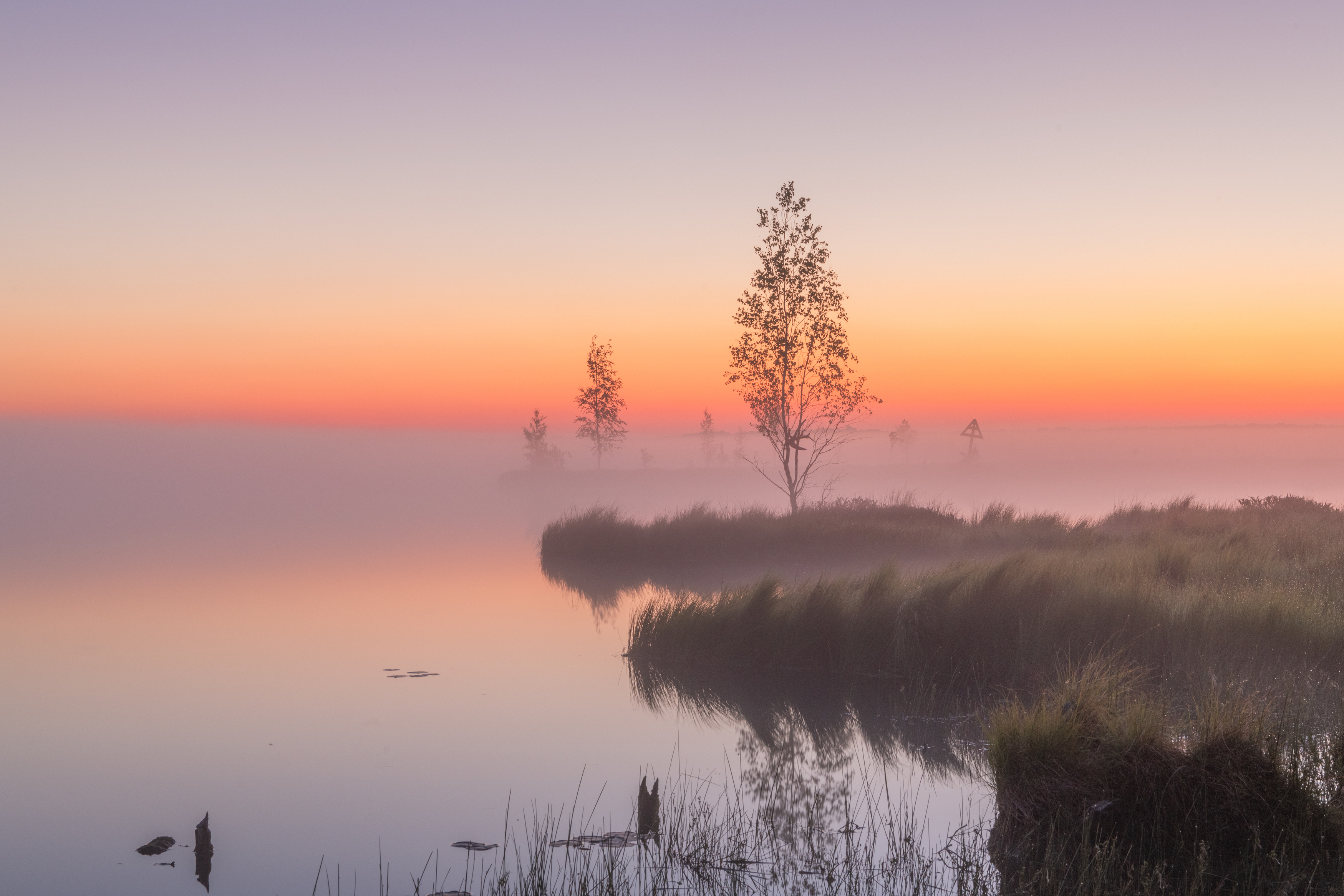 , Третьякова Анастасия