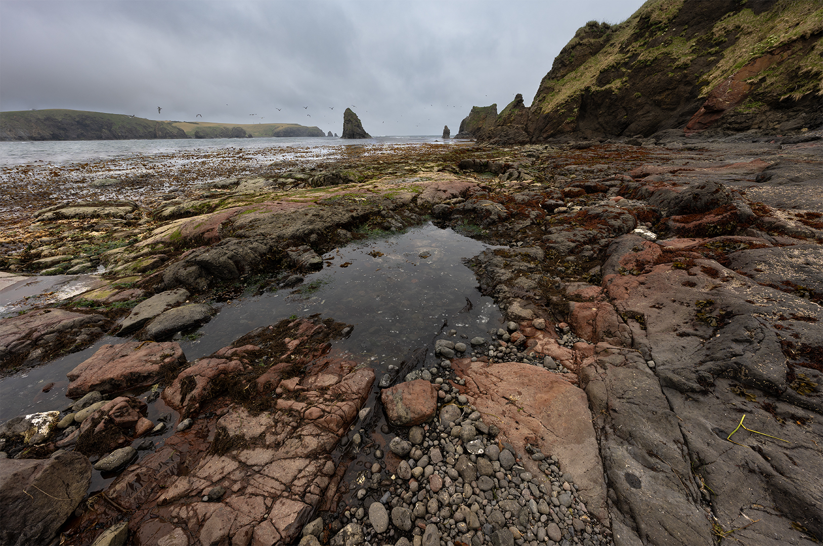 Курилы, Шикотан, Елена Вторушина