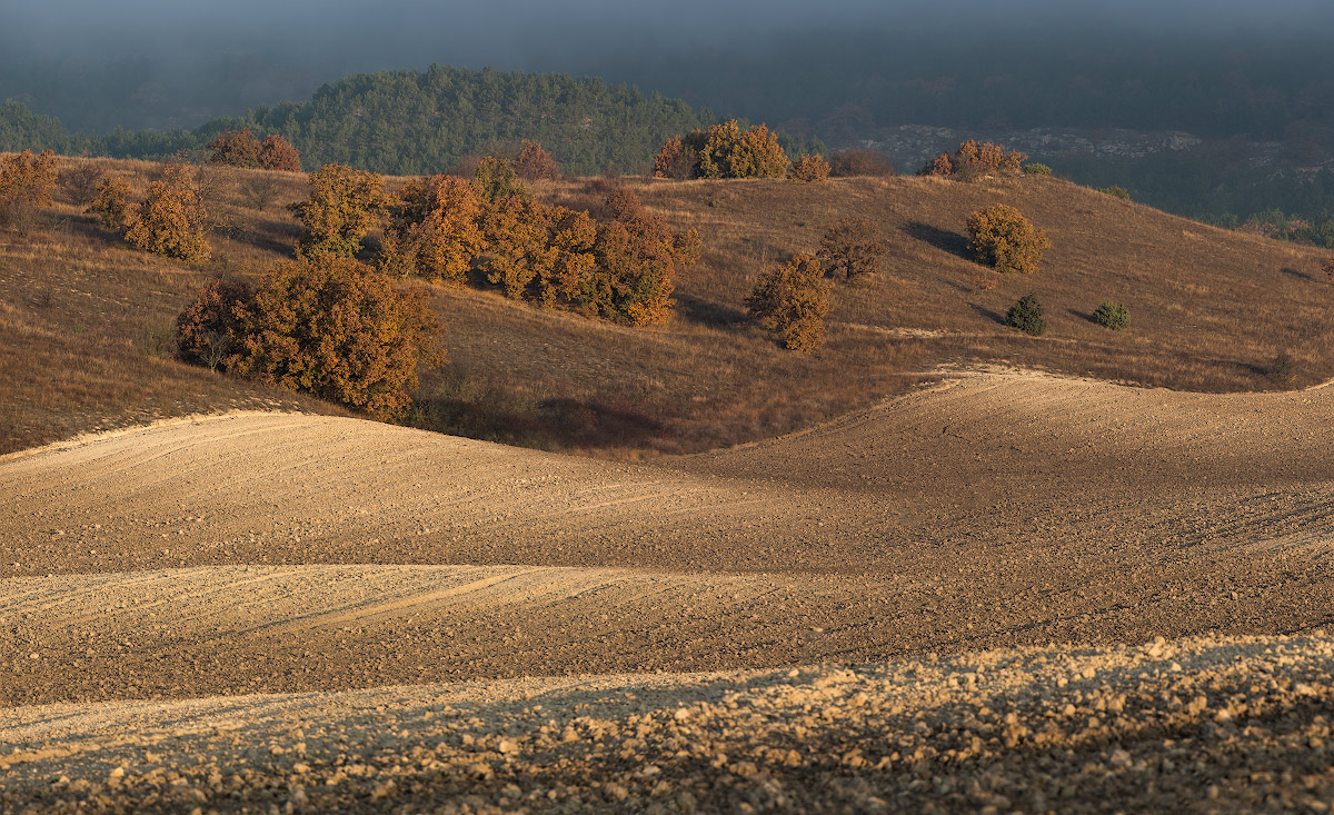 , Андрей Гусаченко