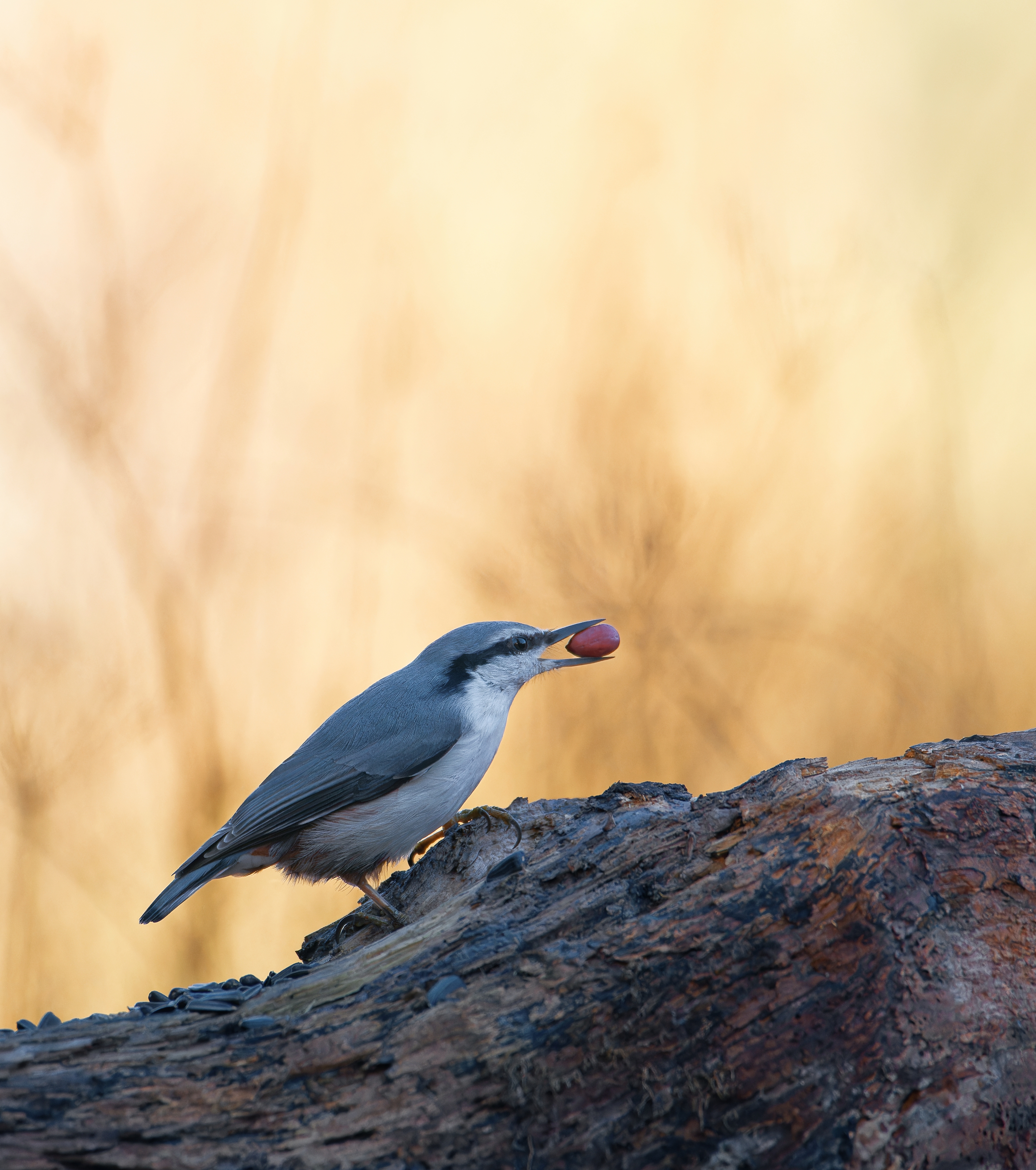 , Фото Александр