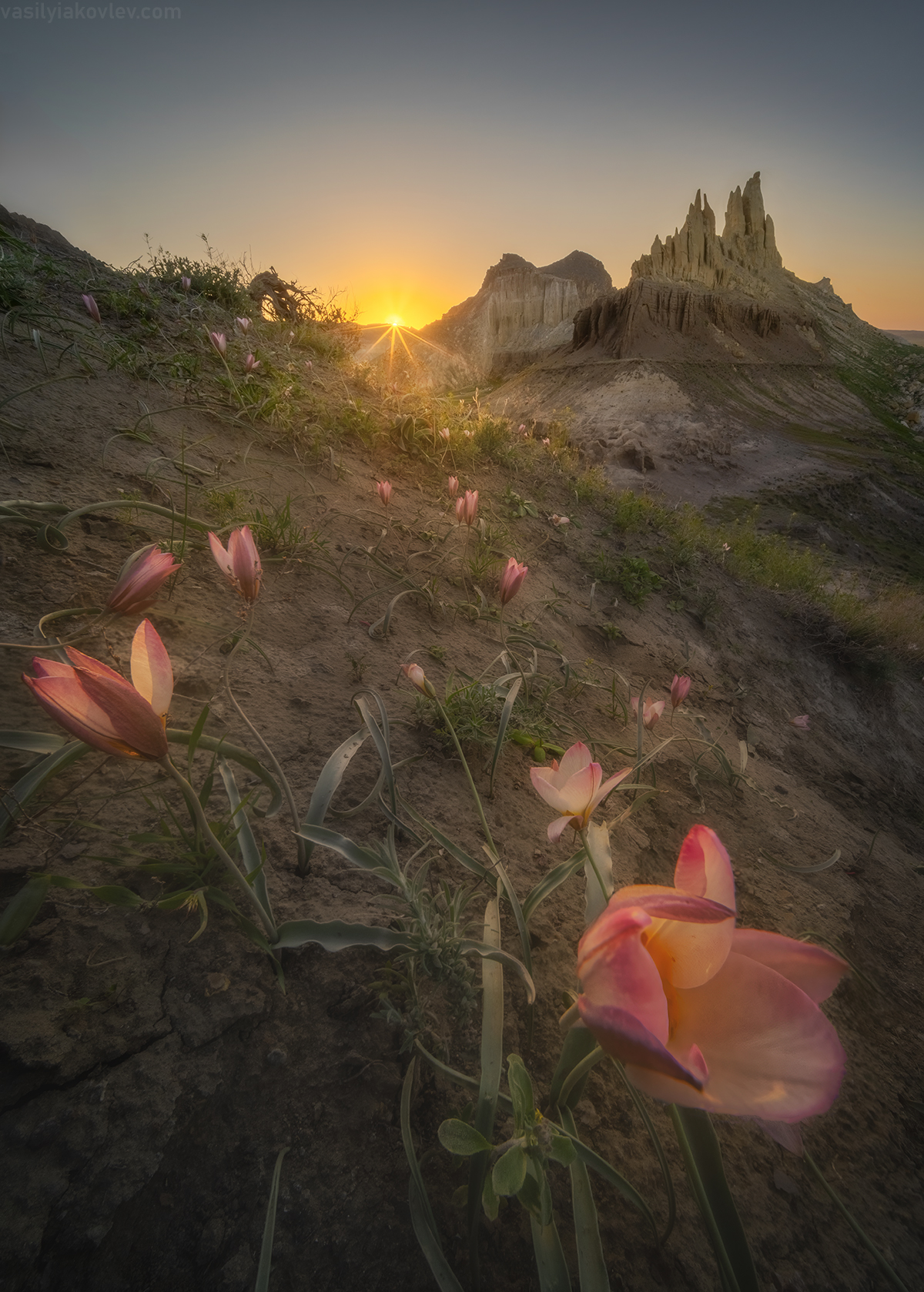 казахстан, фототур, яковлевфототур, мангистау, мангышлак, айракты, босжира, устюрт, карынжарык, тузбаир, торыш, туйесу, сенек, Василий Яковлев