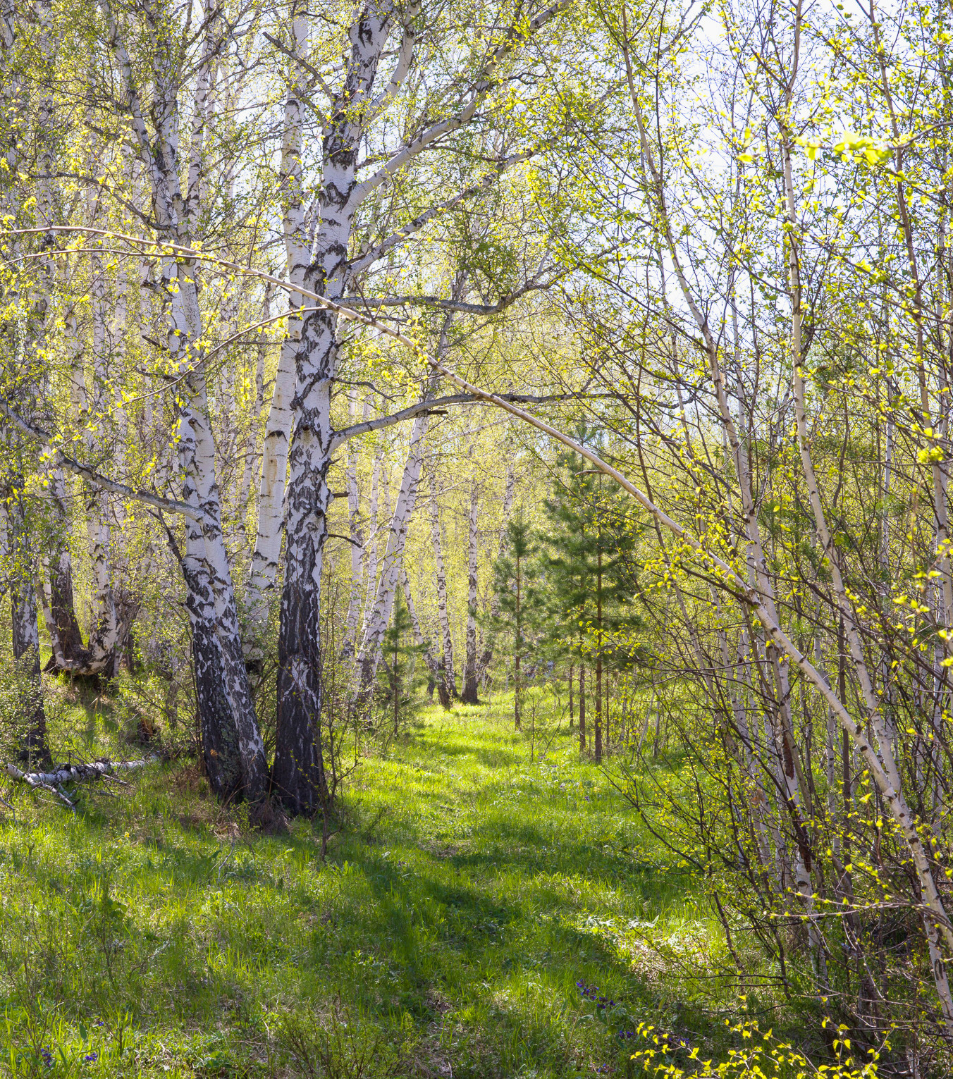 , Шустиков Дмитрий