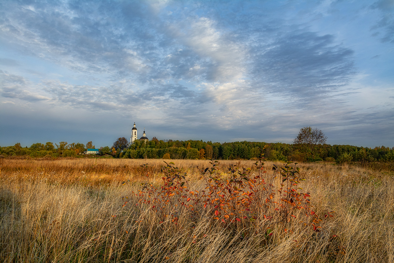 , Анатолий Зверев