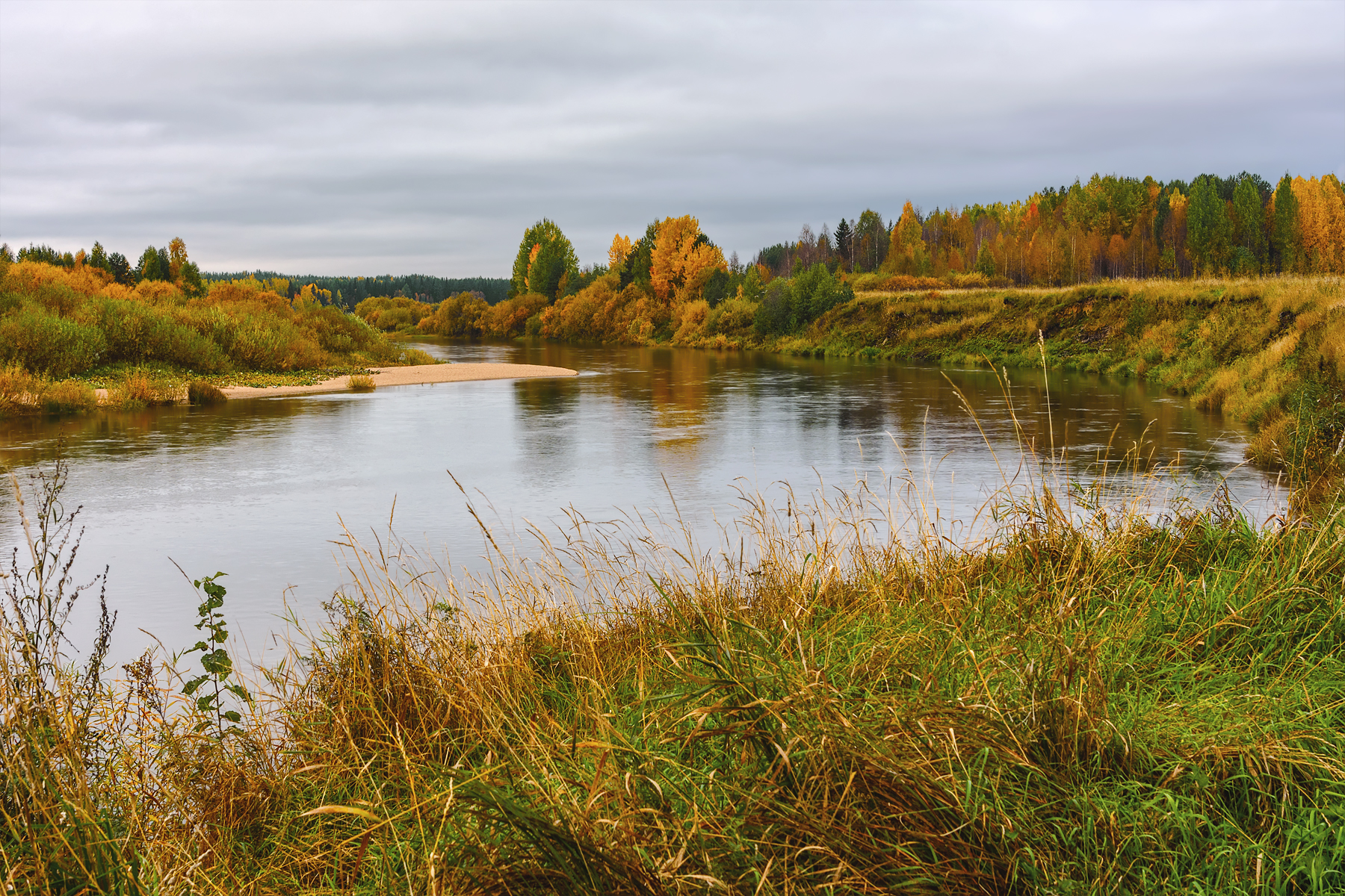 осень, сентябрь, река, пинега, вода, берега, деревья, кусты, трава, Вера Ра