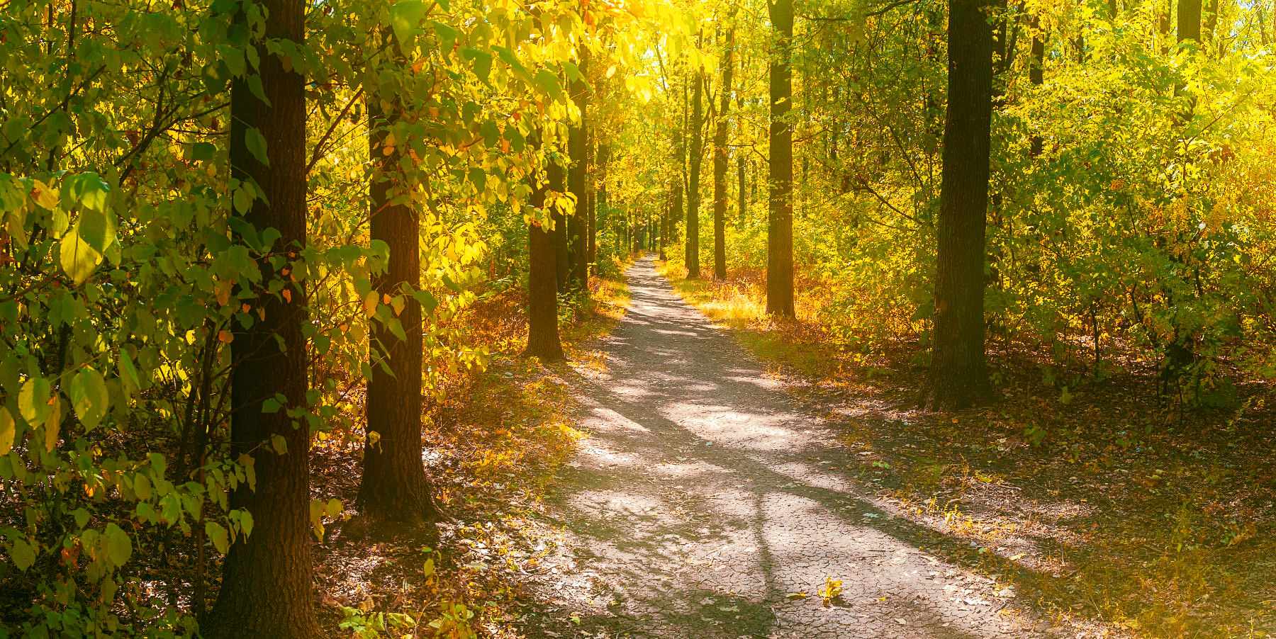 , Лысенко Сергей