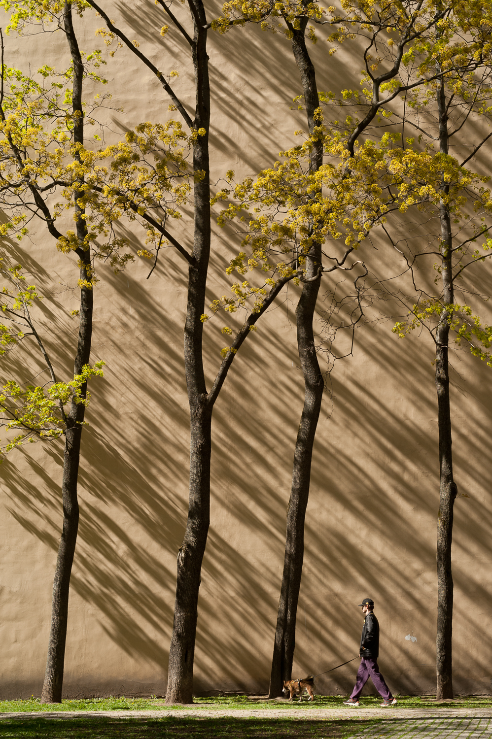 , Киясов Антон