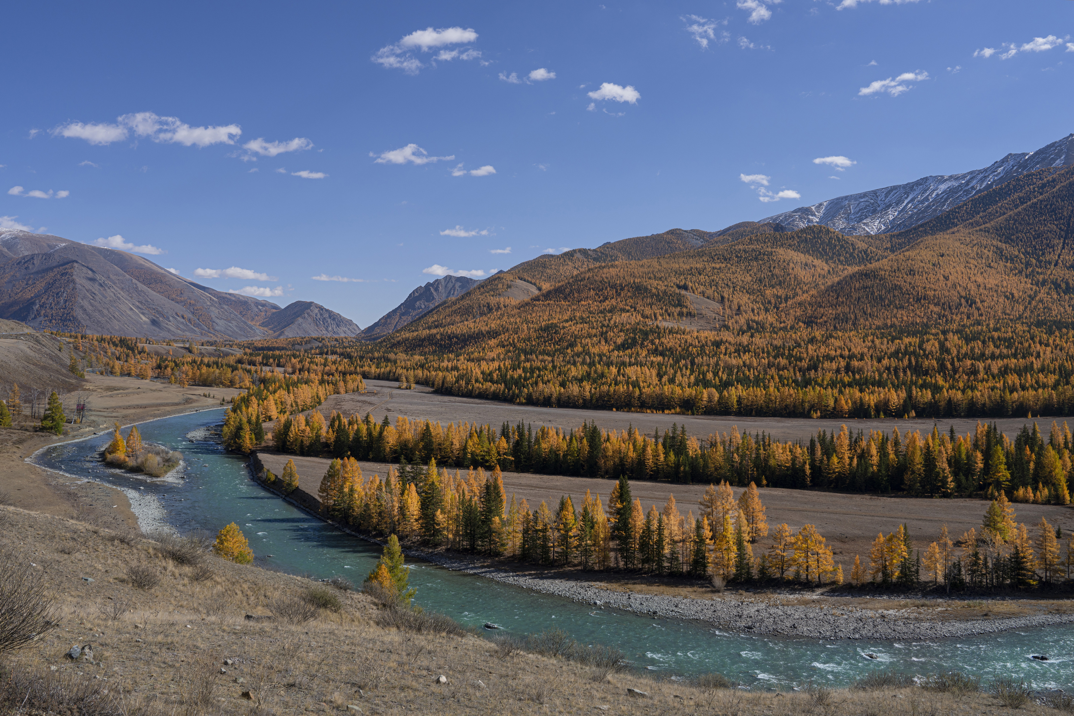 алтай, осень, меандры, чуя, Дейнекина Галина