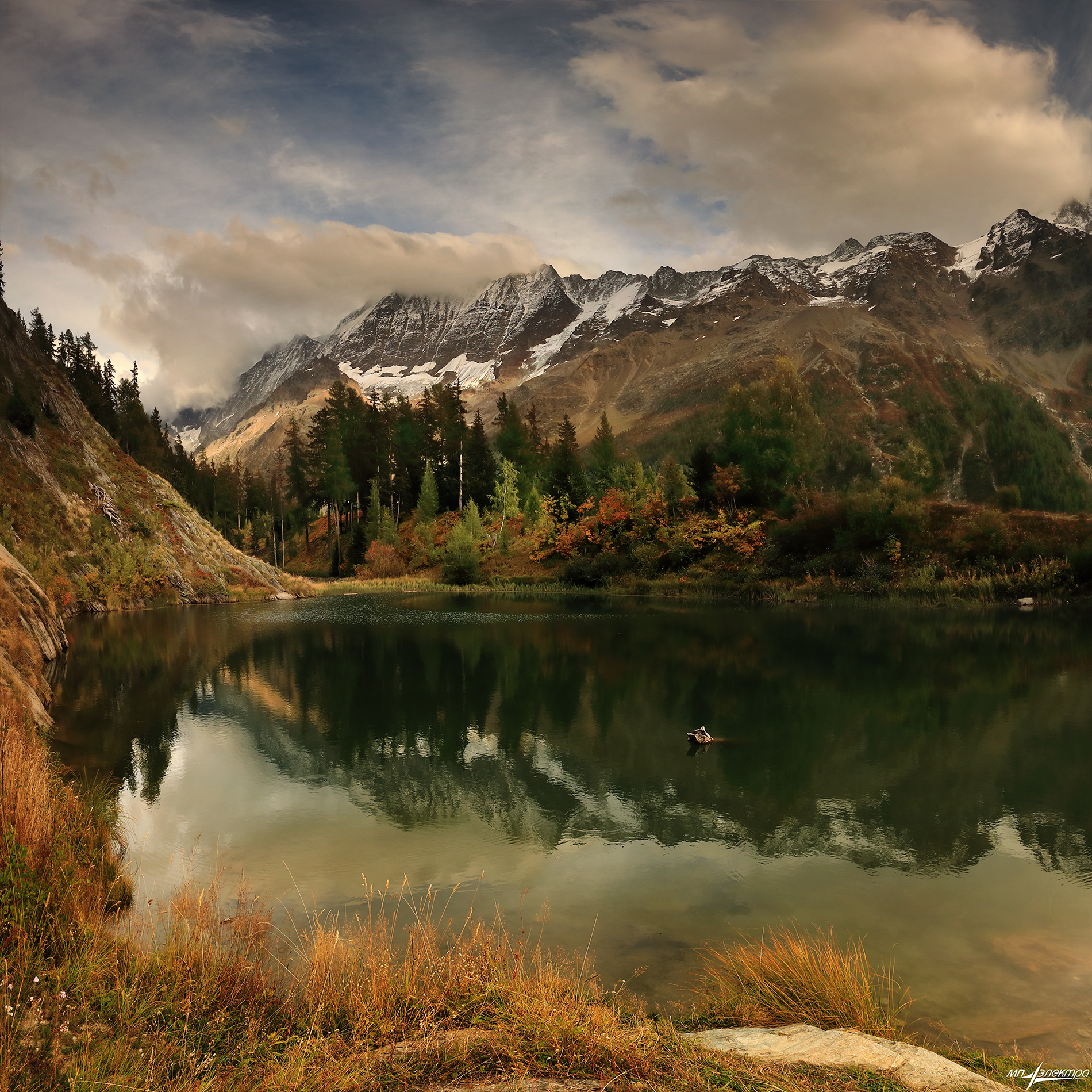 swiss, Матвеев Николай