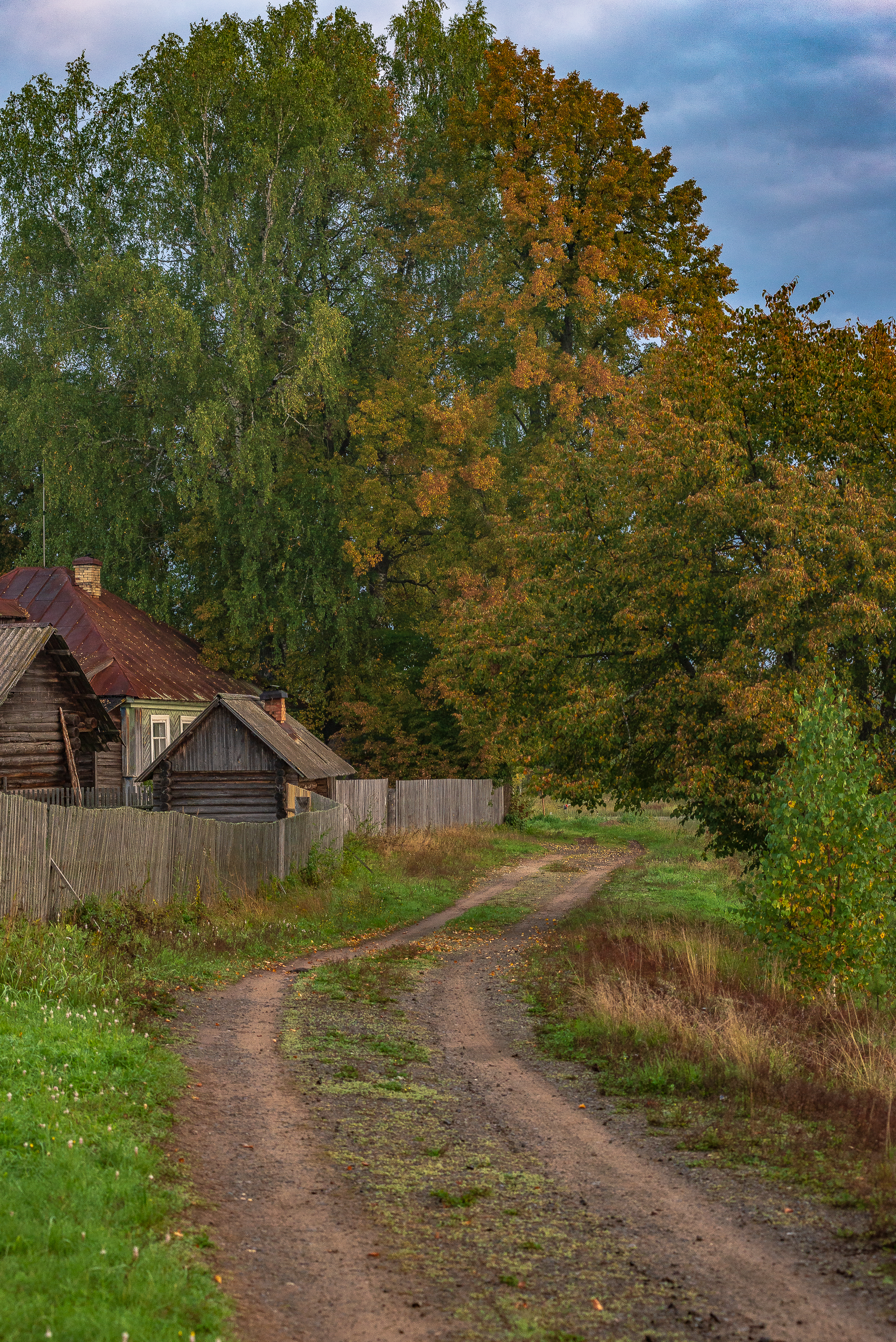 , Шуплецов Алексей