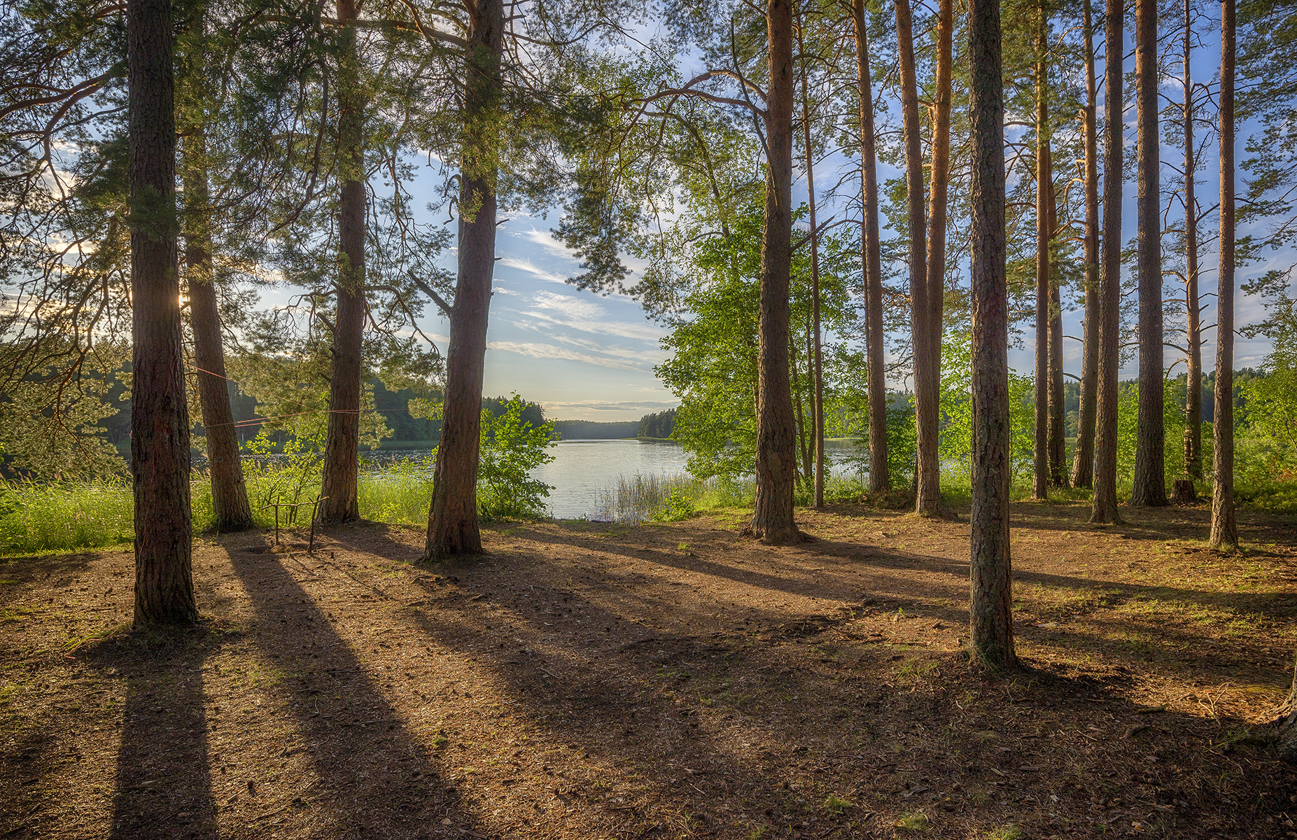 , Сергей Аникин
