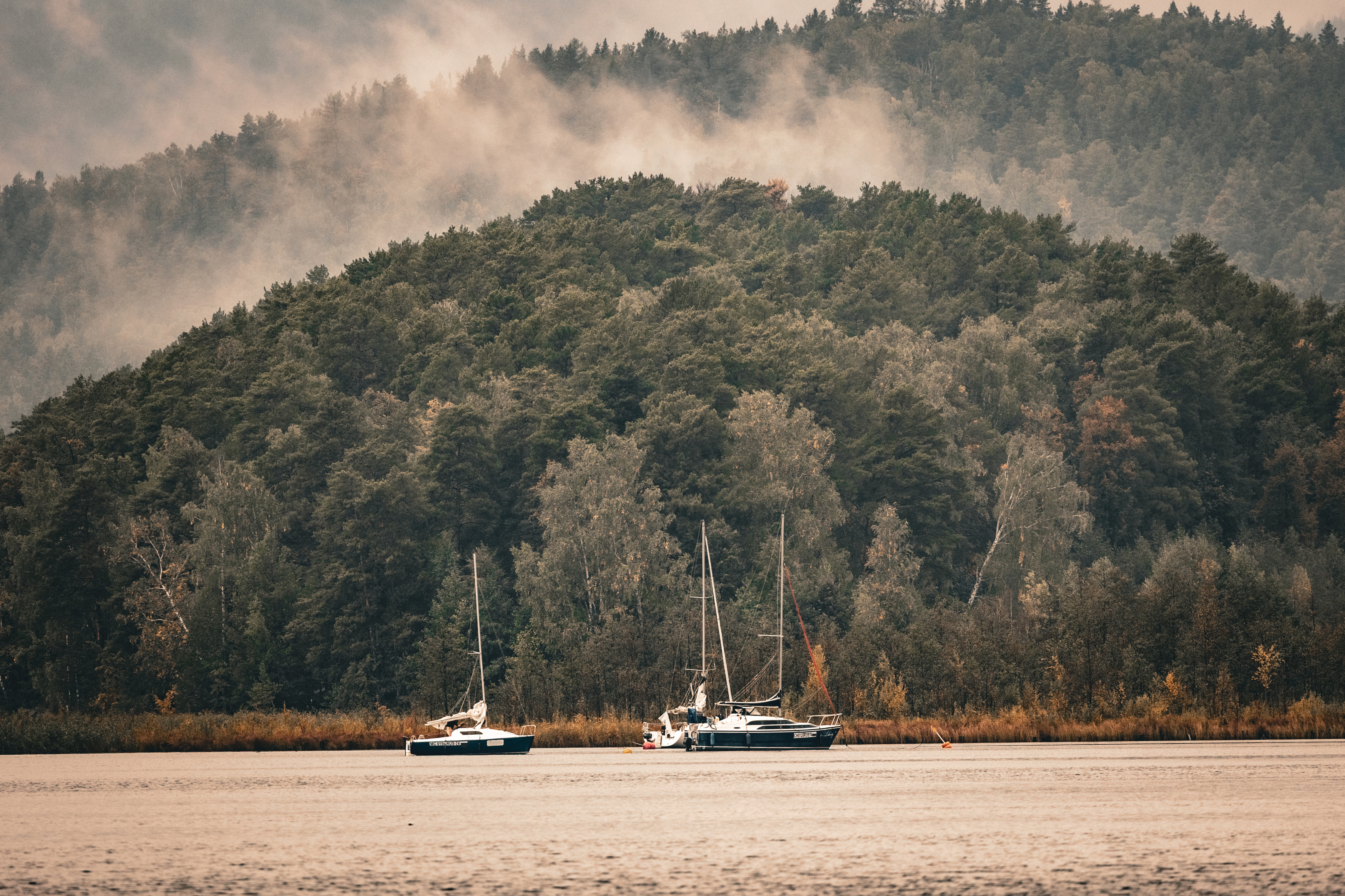 , Щепанов Дмитрий