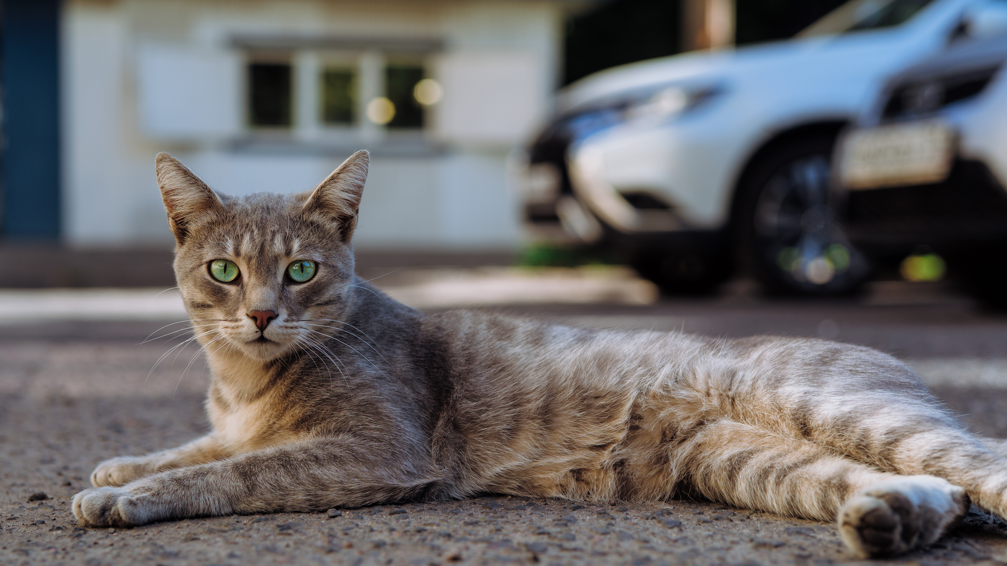 , Вертиков Юрий