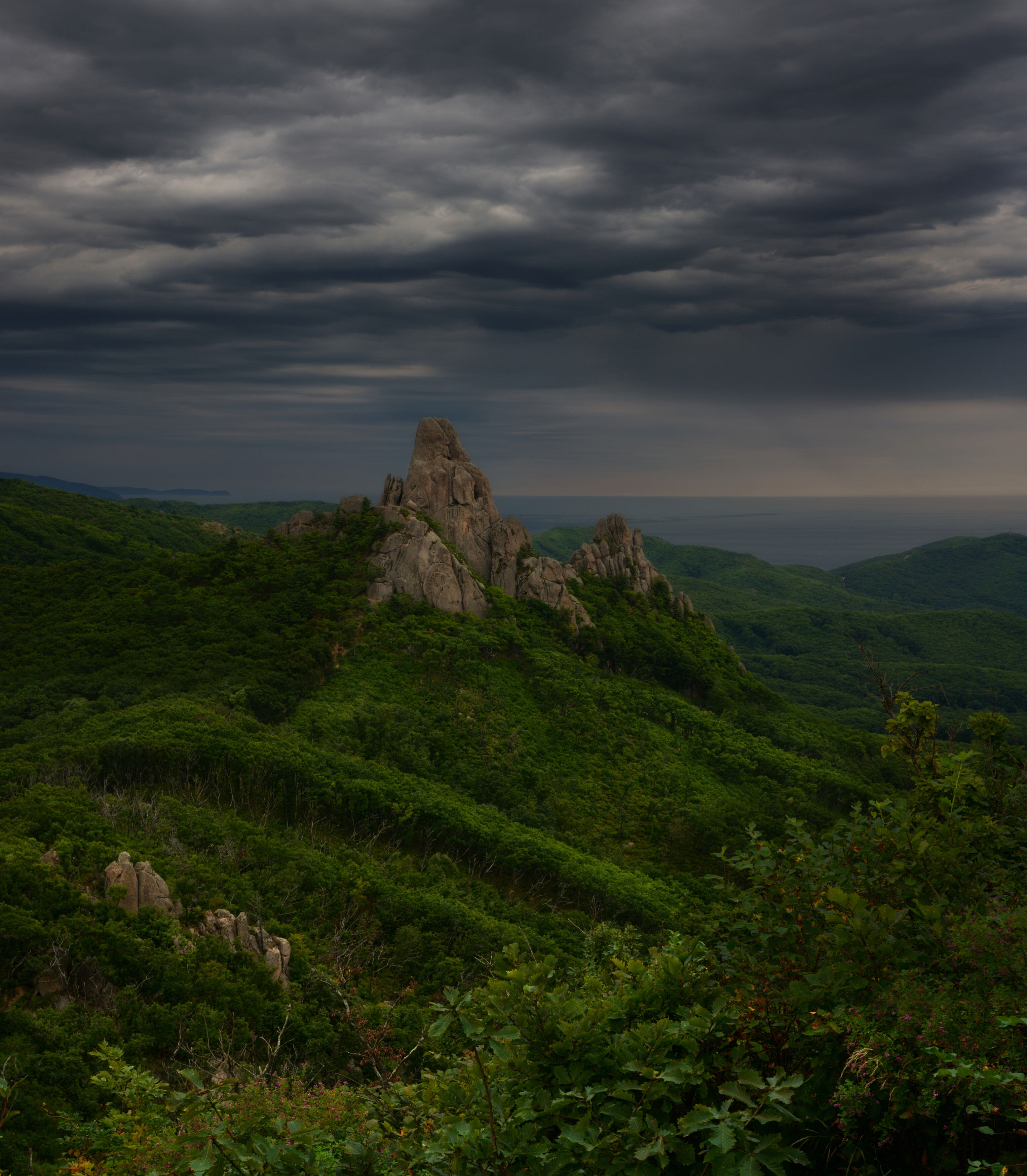 приморье, Едуш Сергей