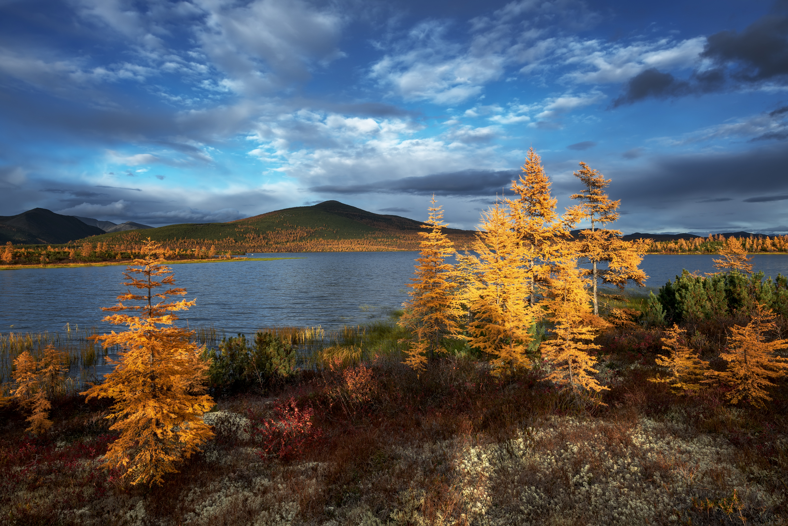 Озеро Джека Лондона , Евдокимов Максим