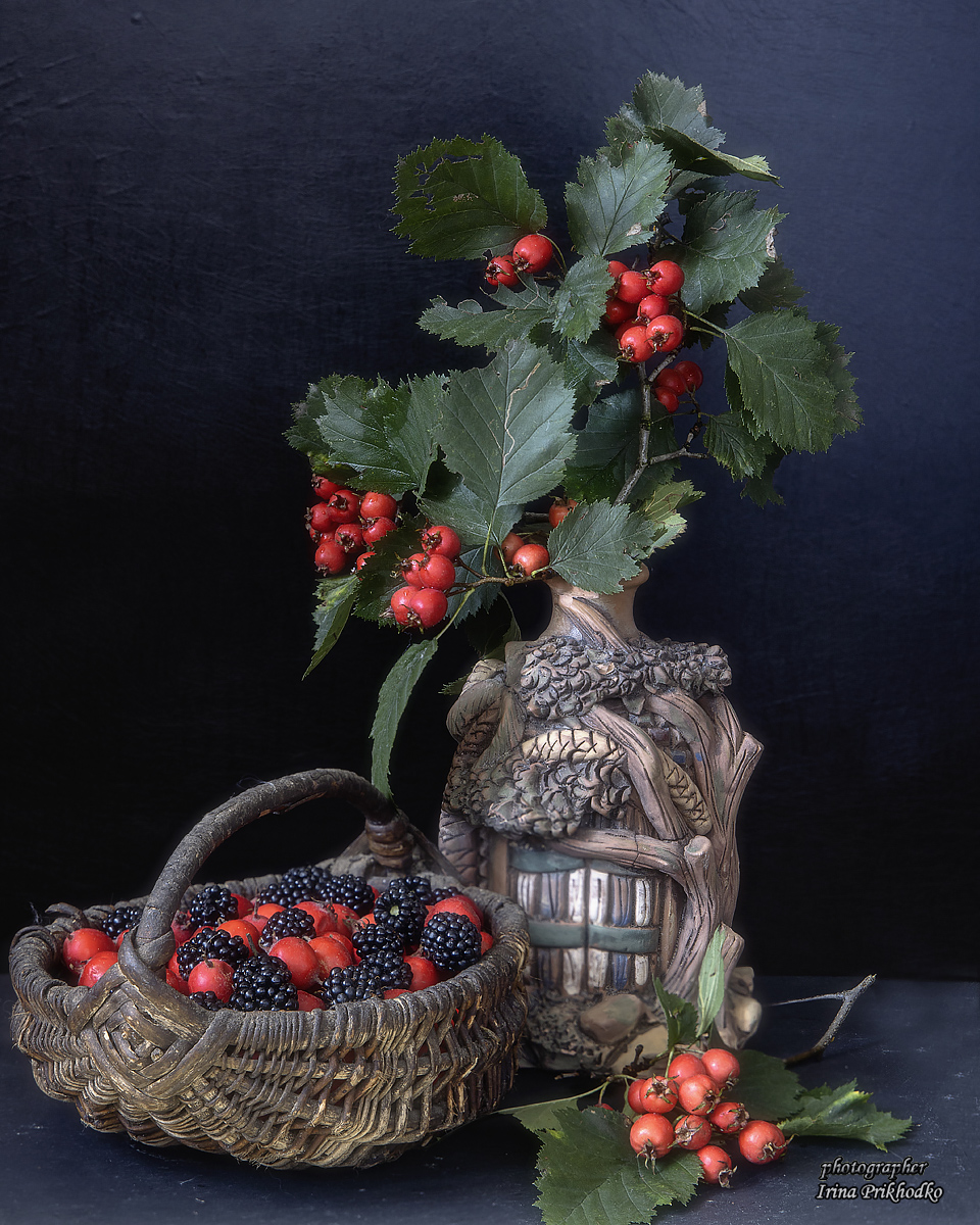 натюрморт, боярышник, ежевика, черный фон, Приходько Ирина