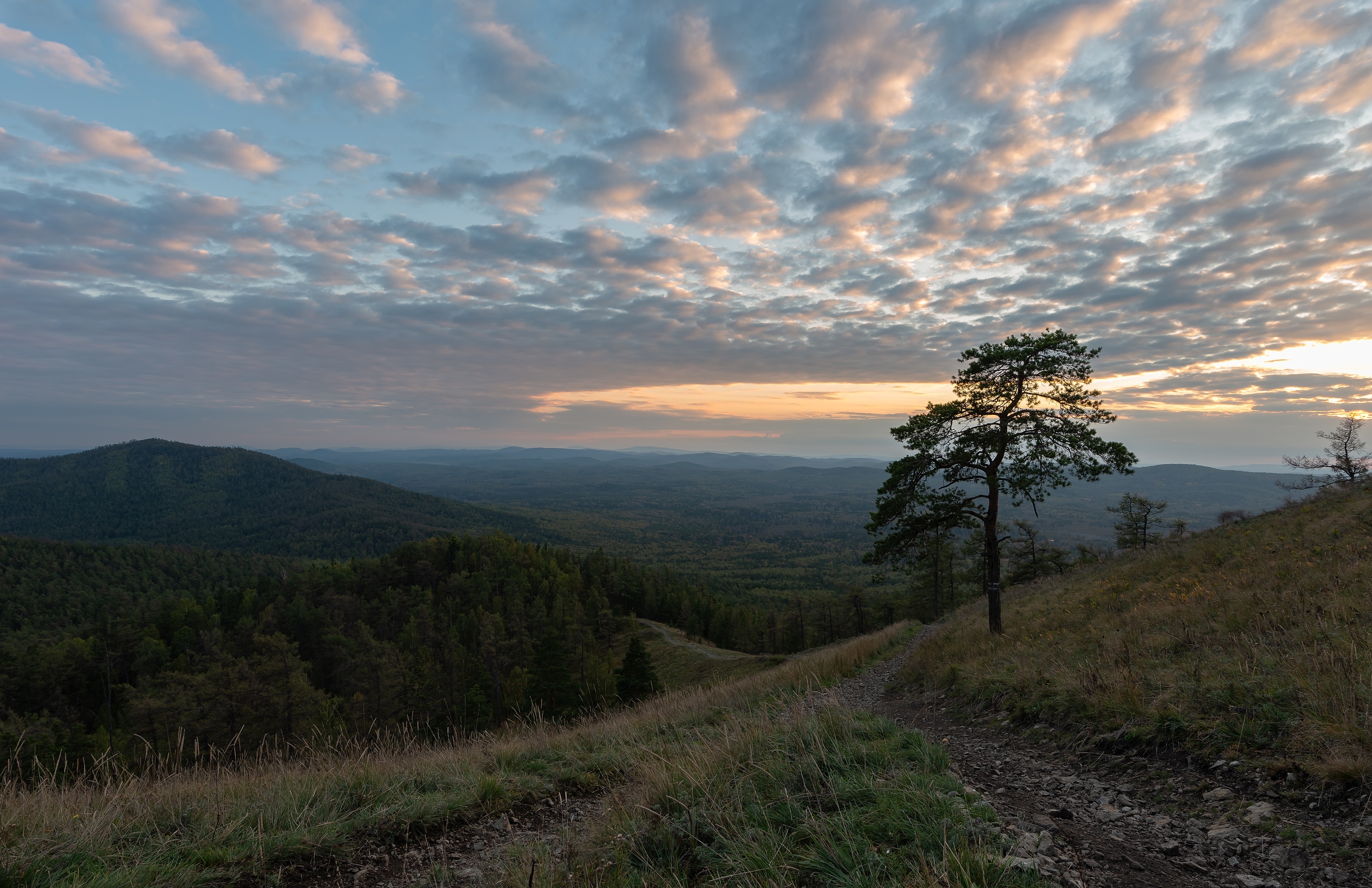 , Ватрушкин Максим