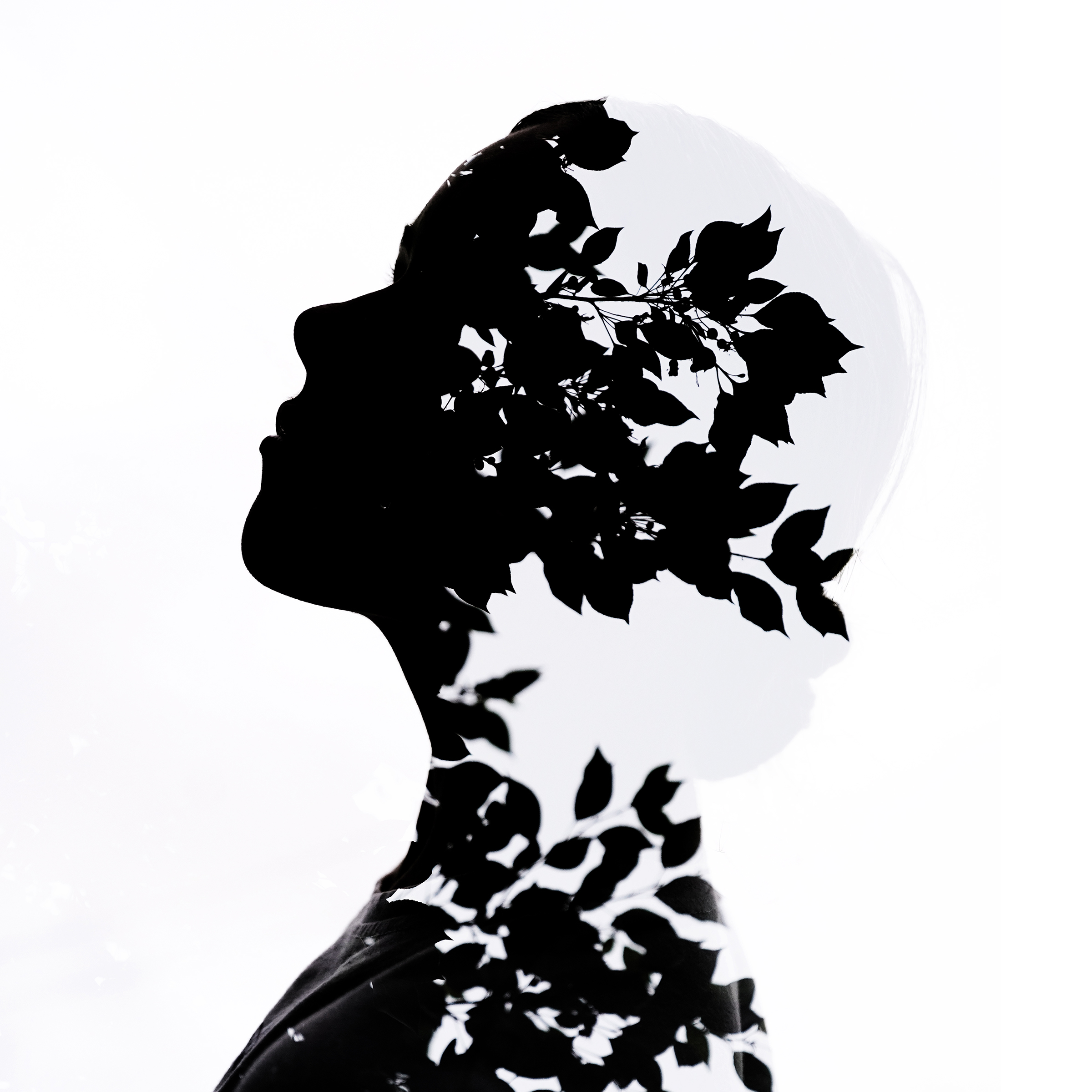 , Дарья Комарова