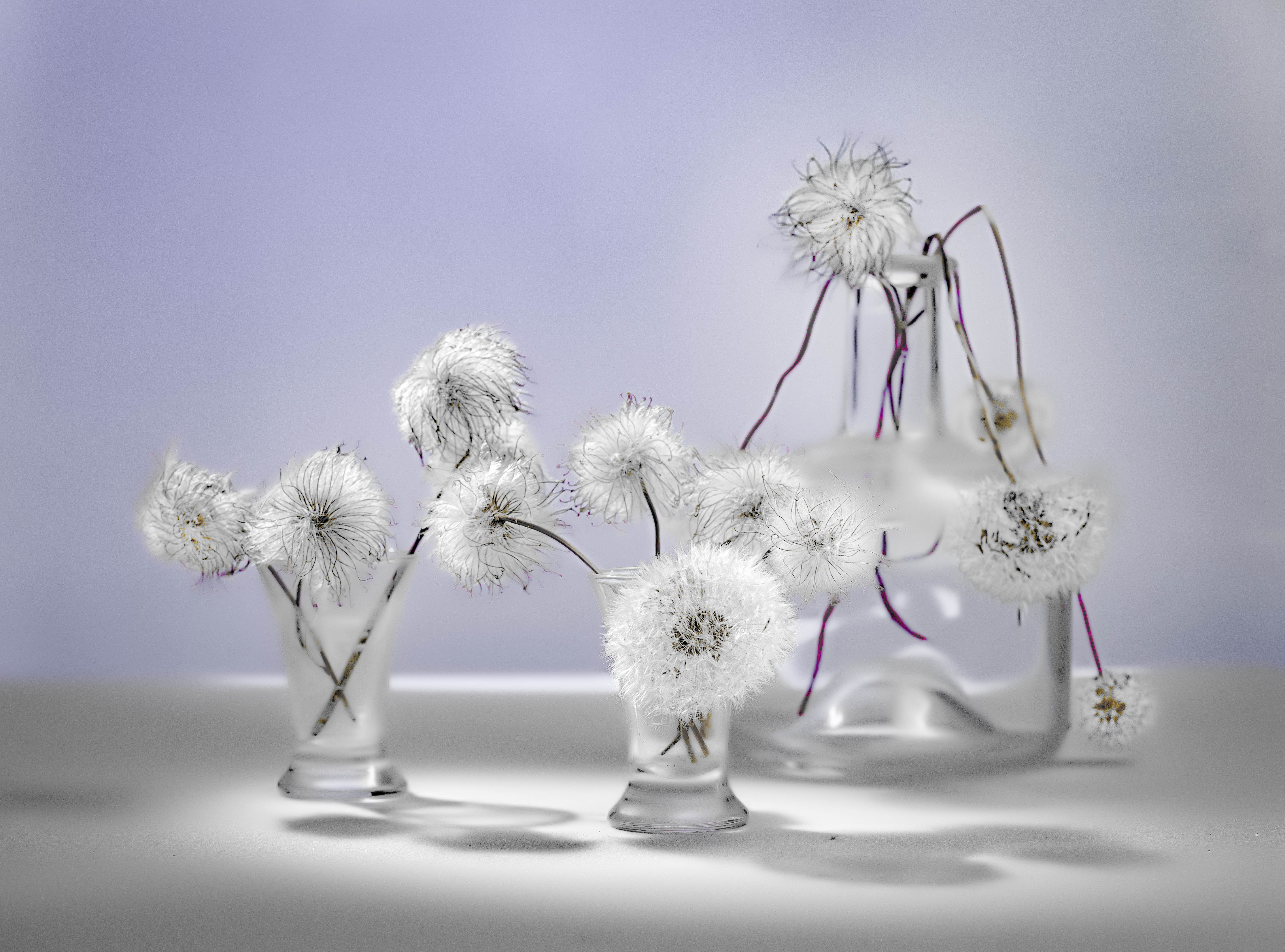 , Валентин Черновол