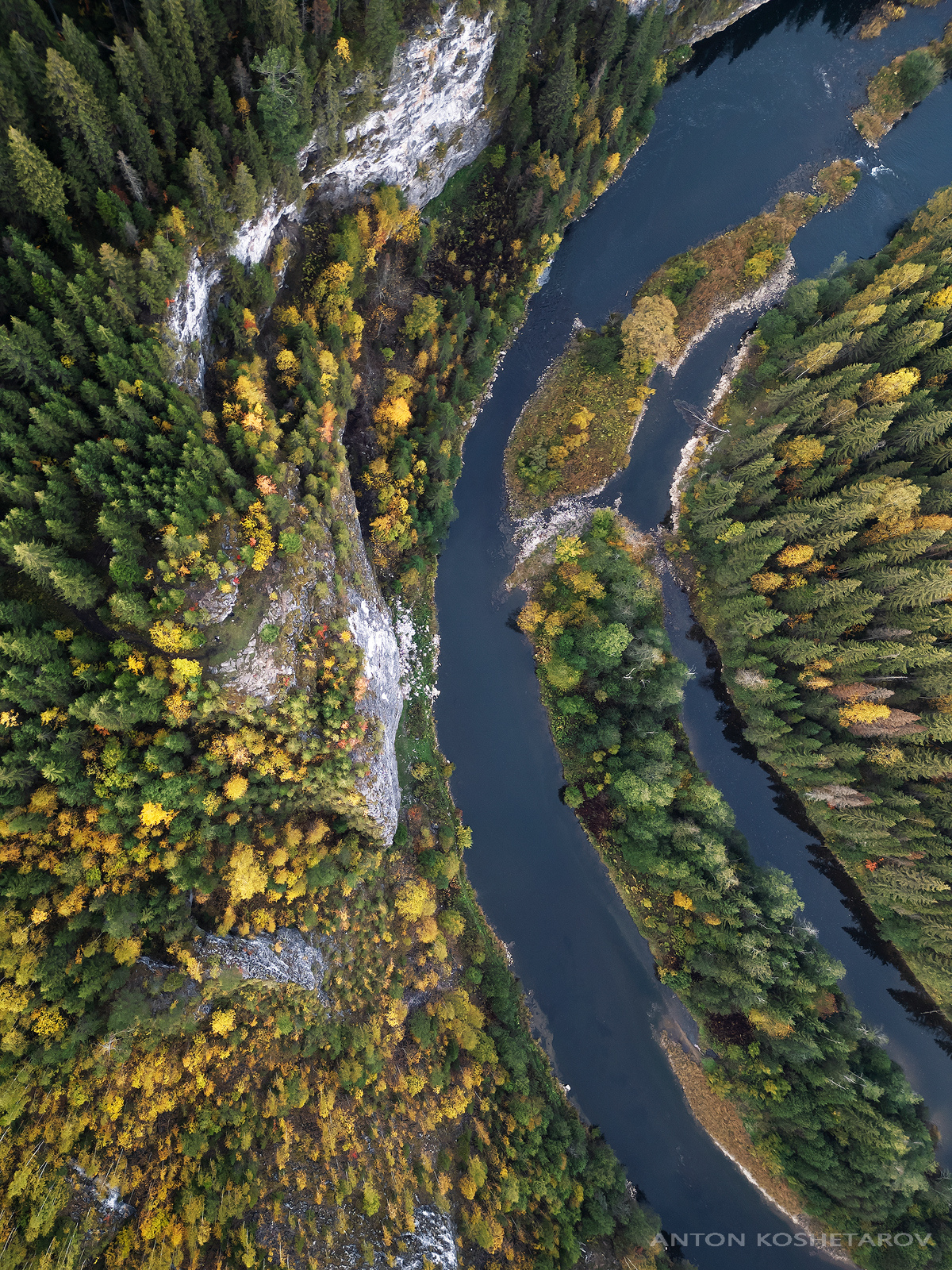 , Антон Кошетаров