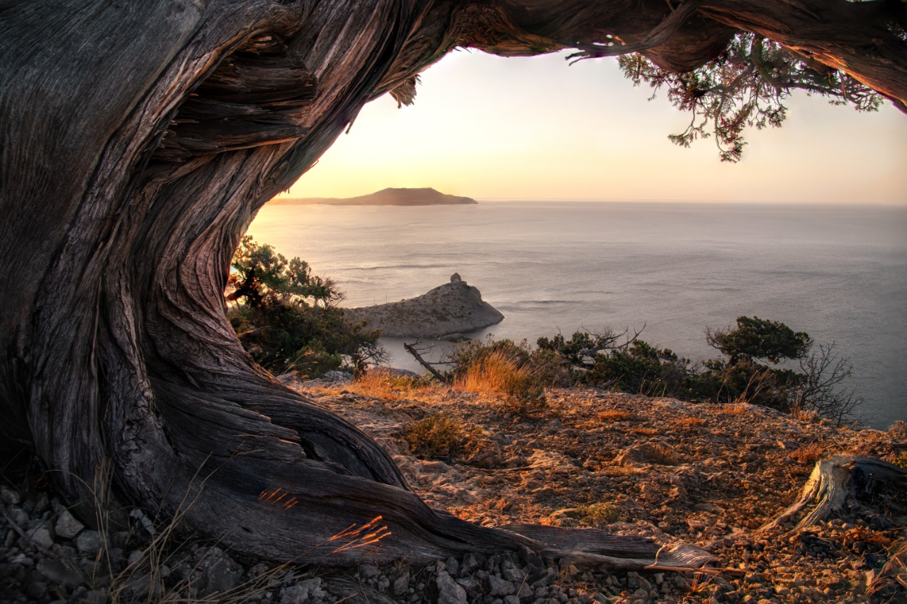 Крым, Россия, Море, Рассвет, Андрей Малыгин