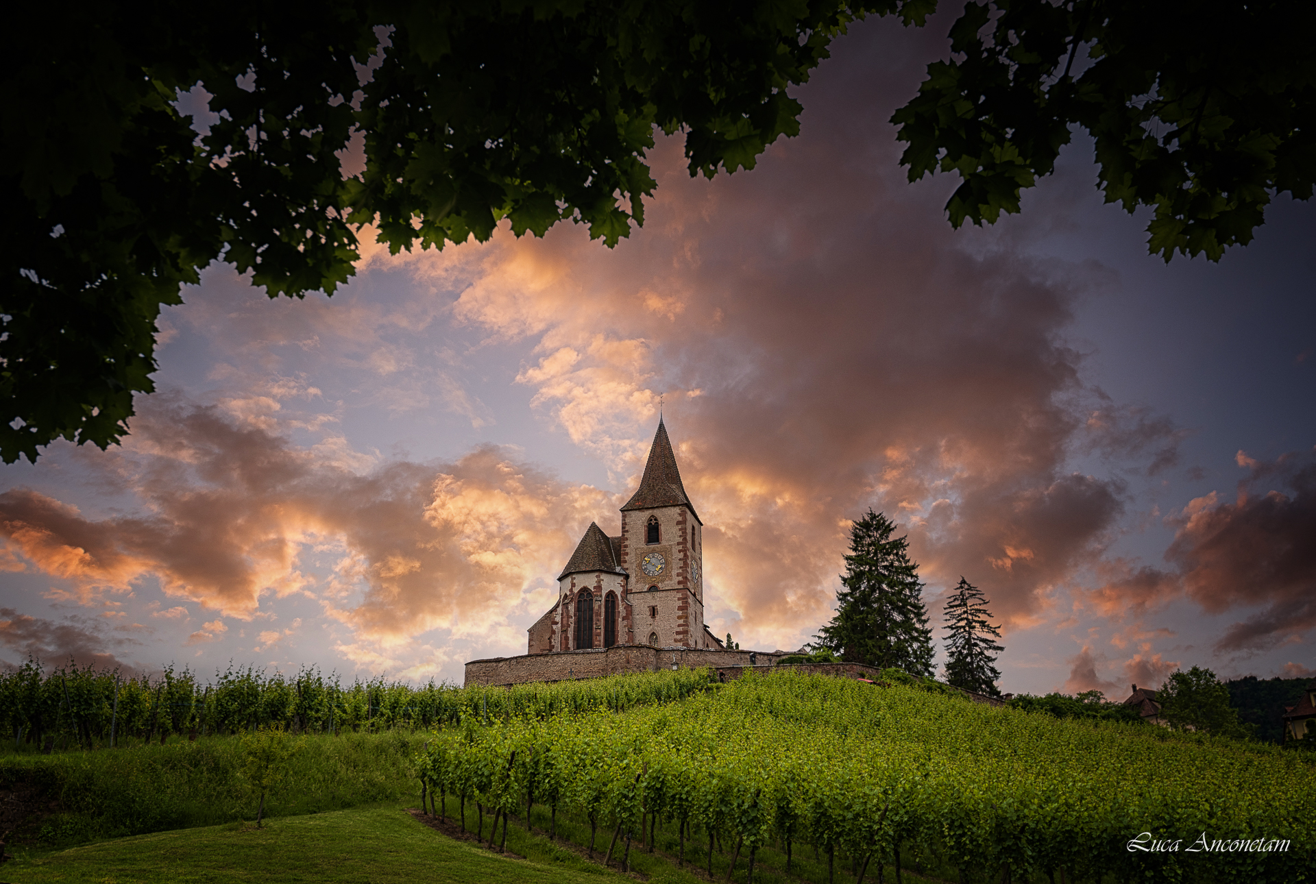 france vineyards landscape church nature travel, Anconetani Luca