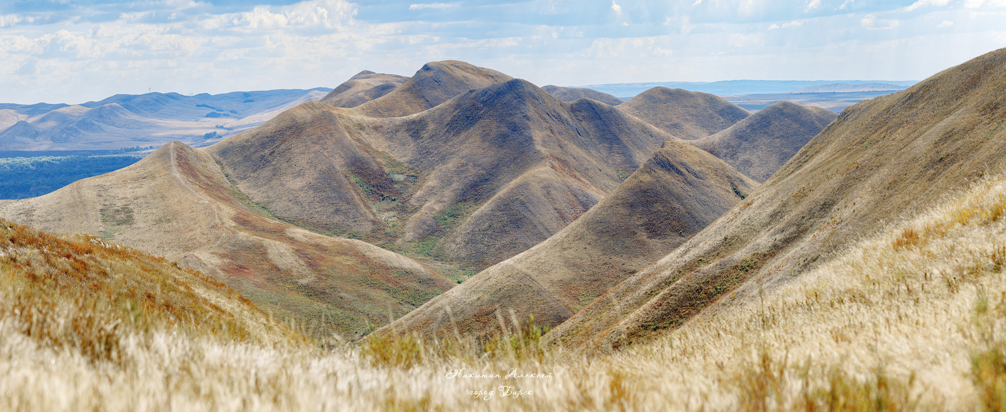 , Никитин Алексей