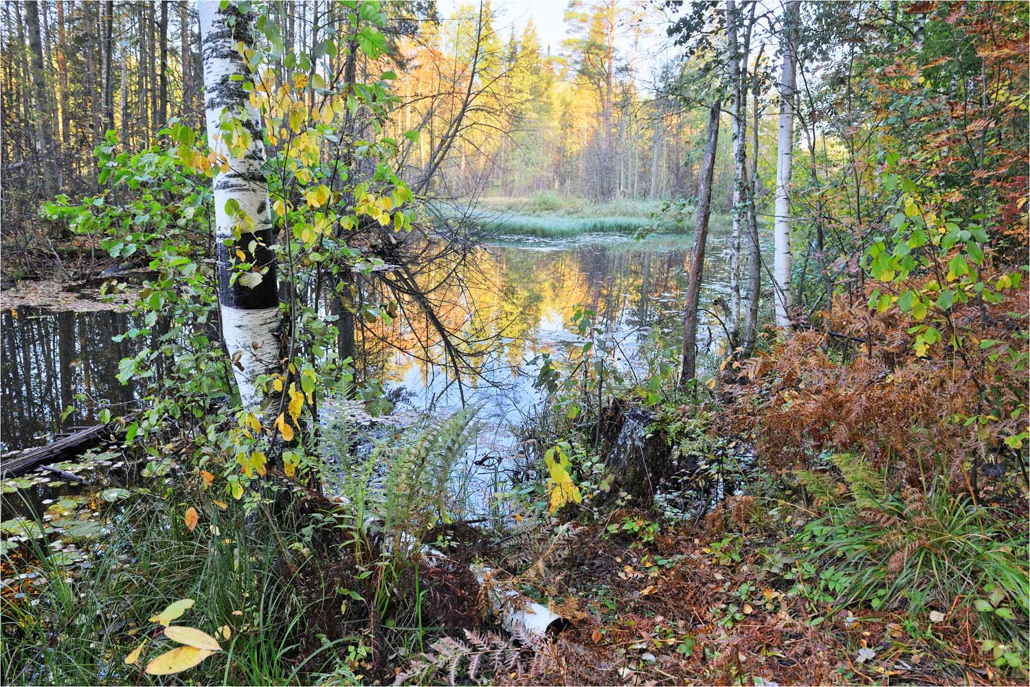 , Анатолий Гулин