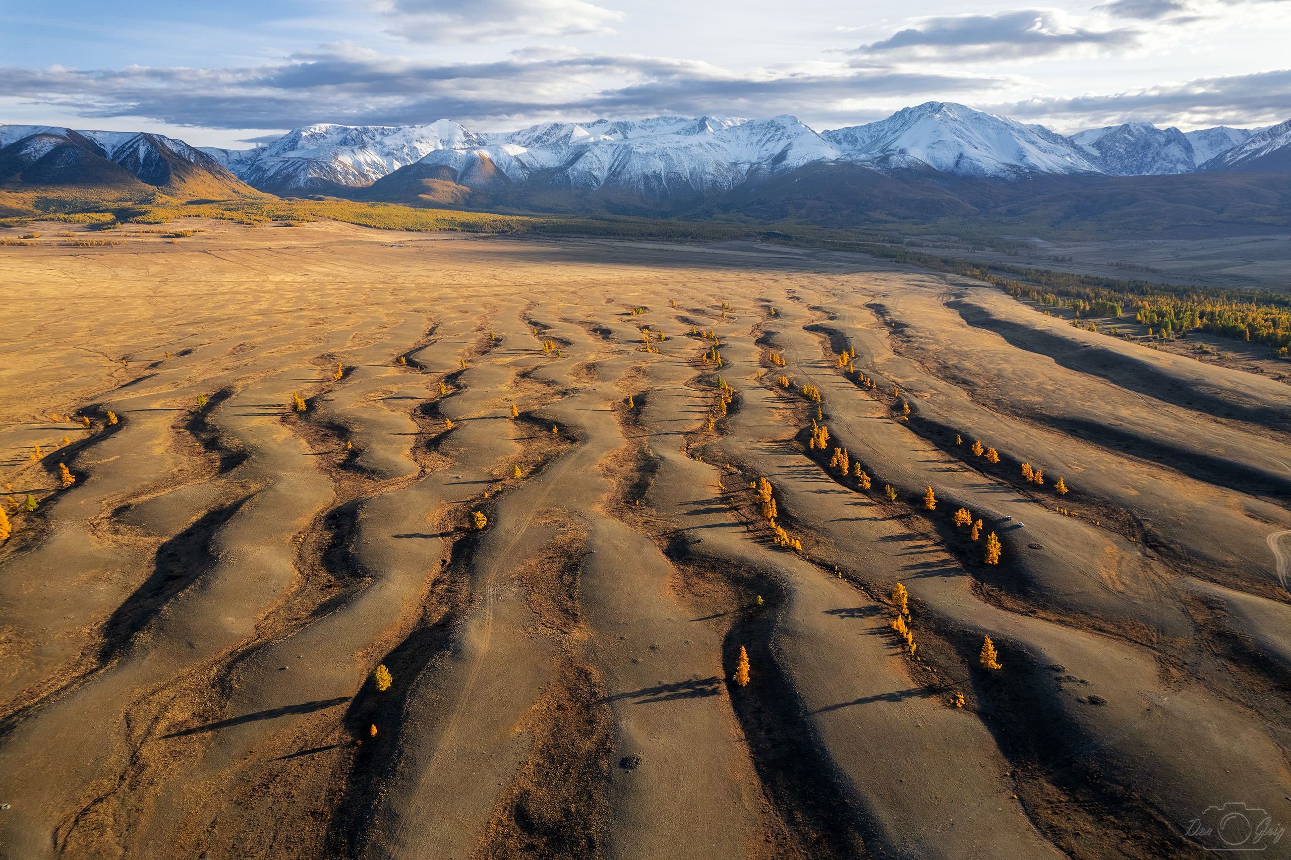 алтай, курайская степь, Григорашев Денис