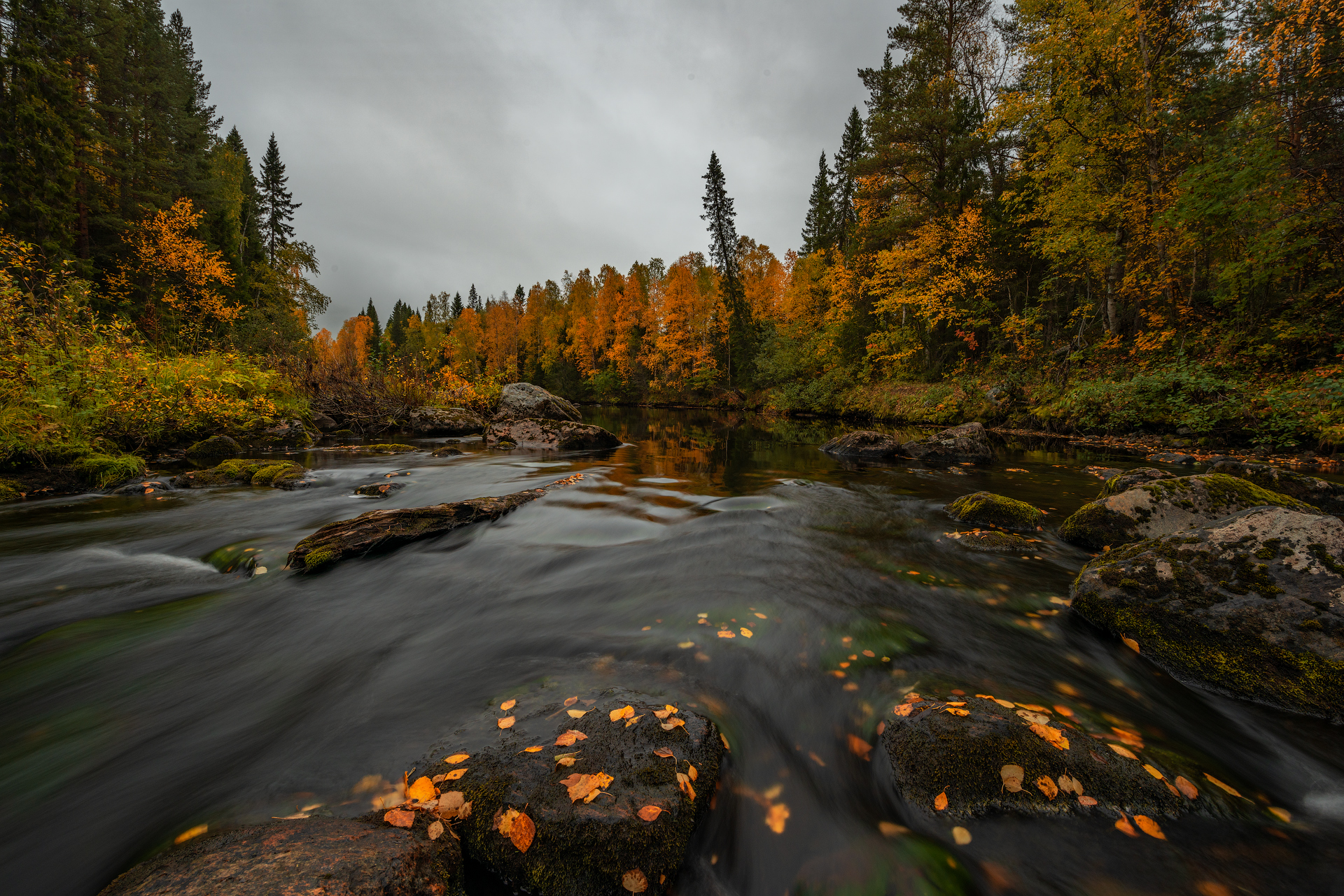 север, кольский, заполярье,, Роман Горячий